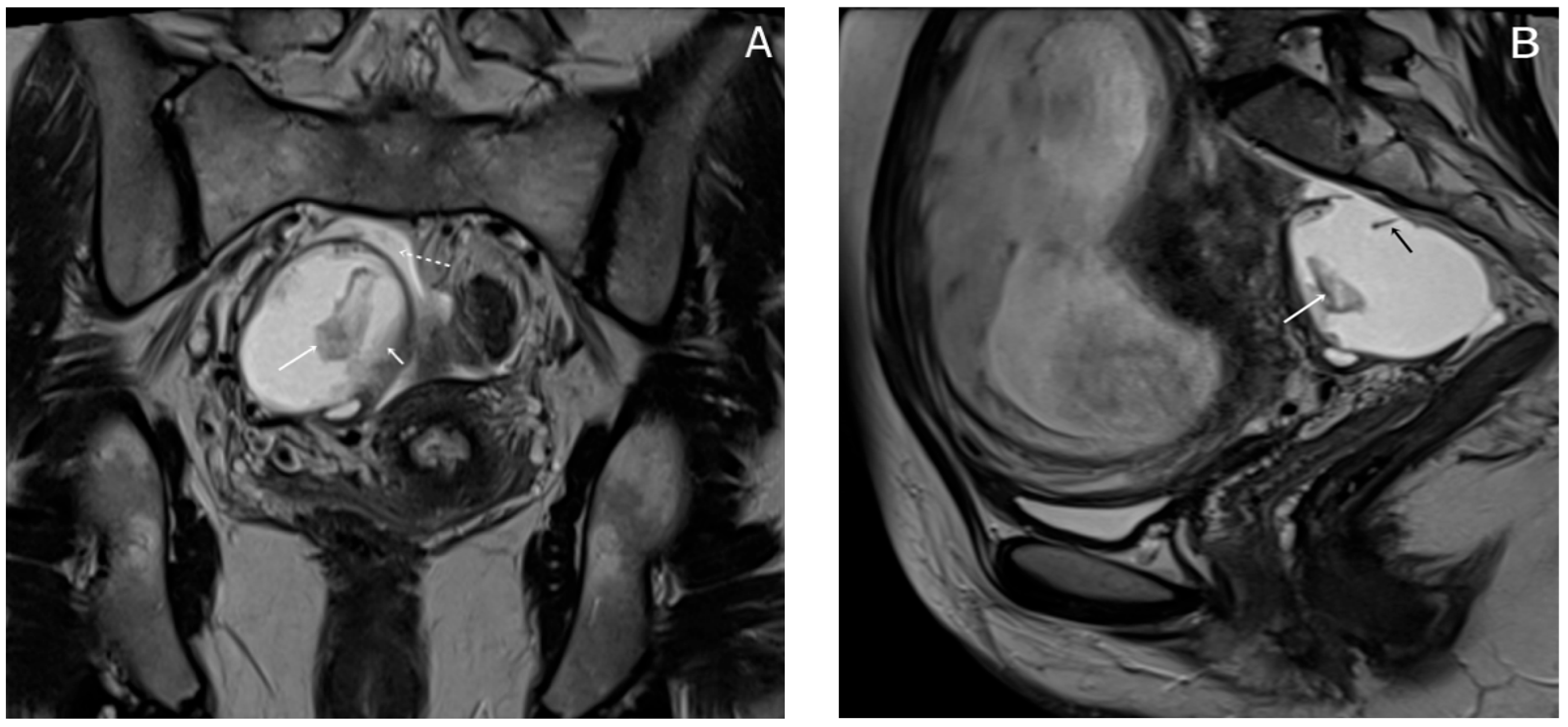 Diagnostics 15 02460 g004