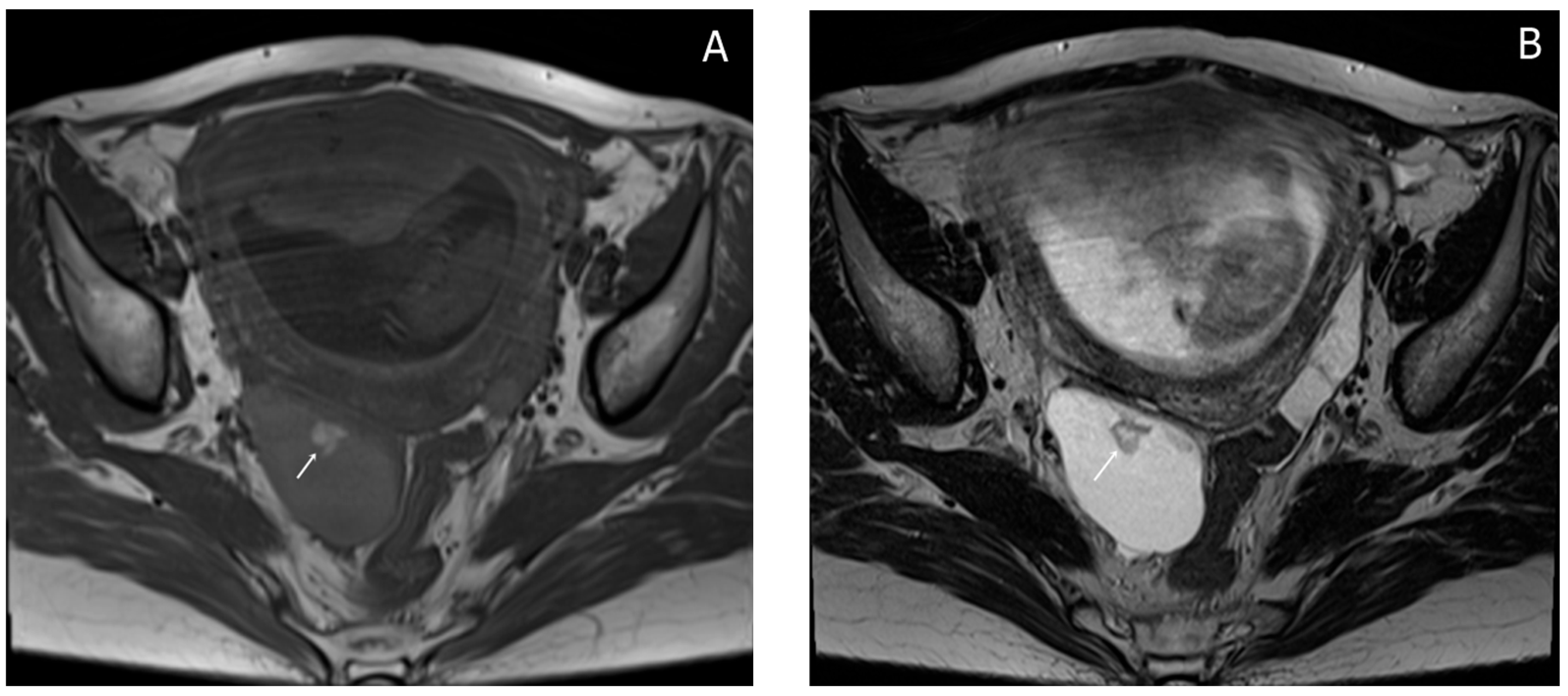 Diagnostics 15 02460 g005