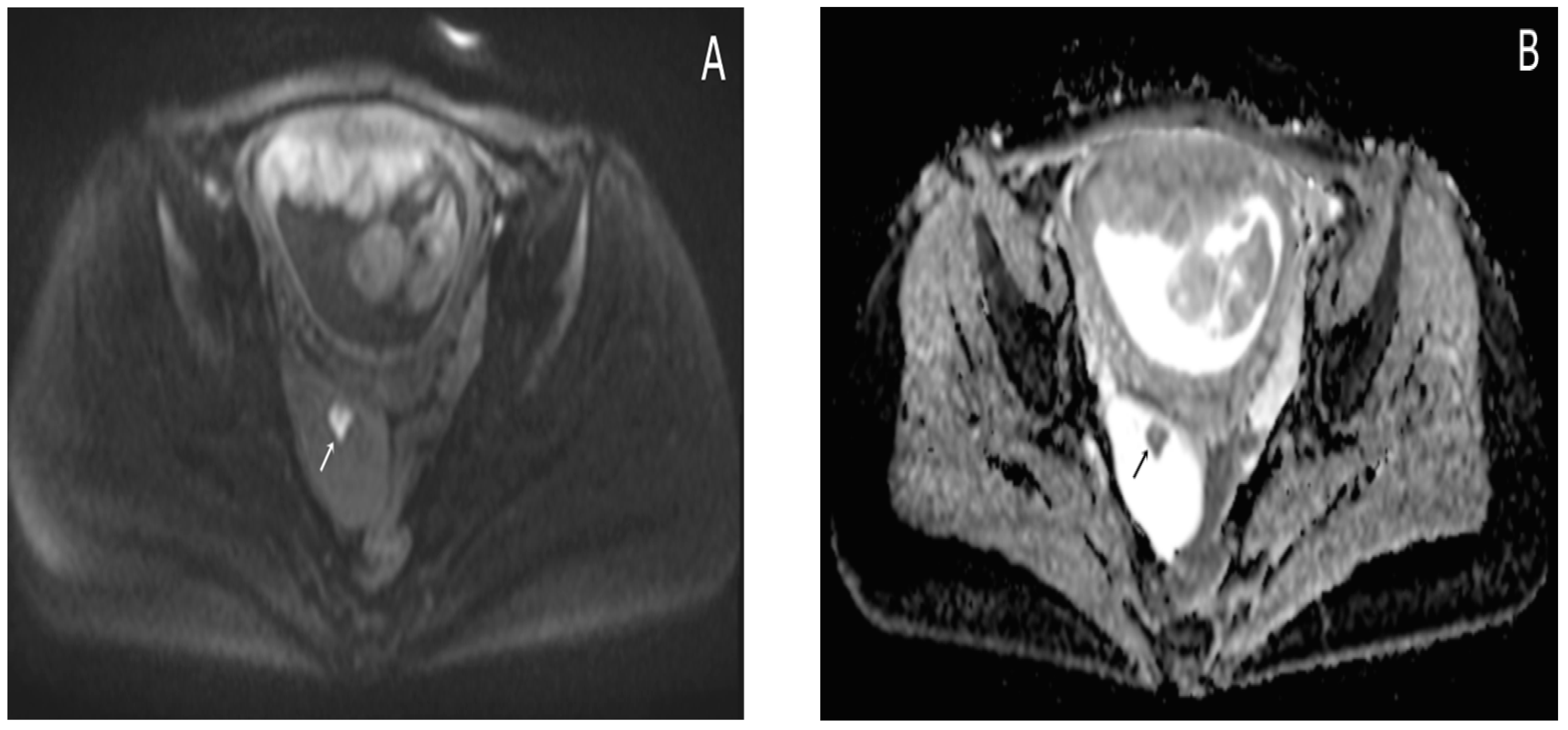 Diagnostics 15 02460 g006