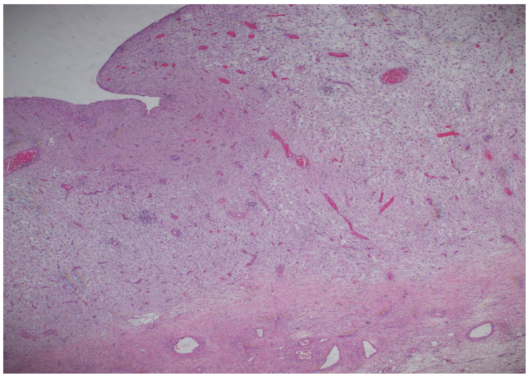 Diagnostics 15 02460 g008