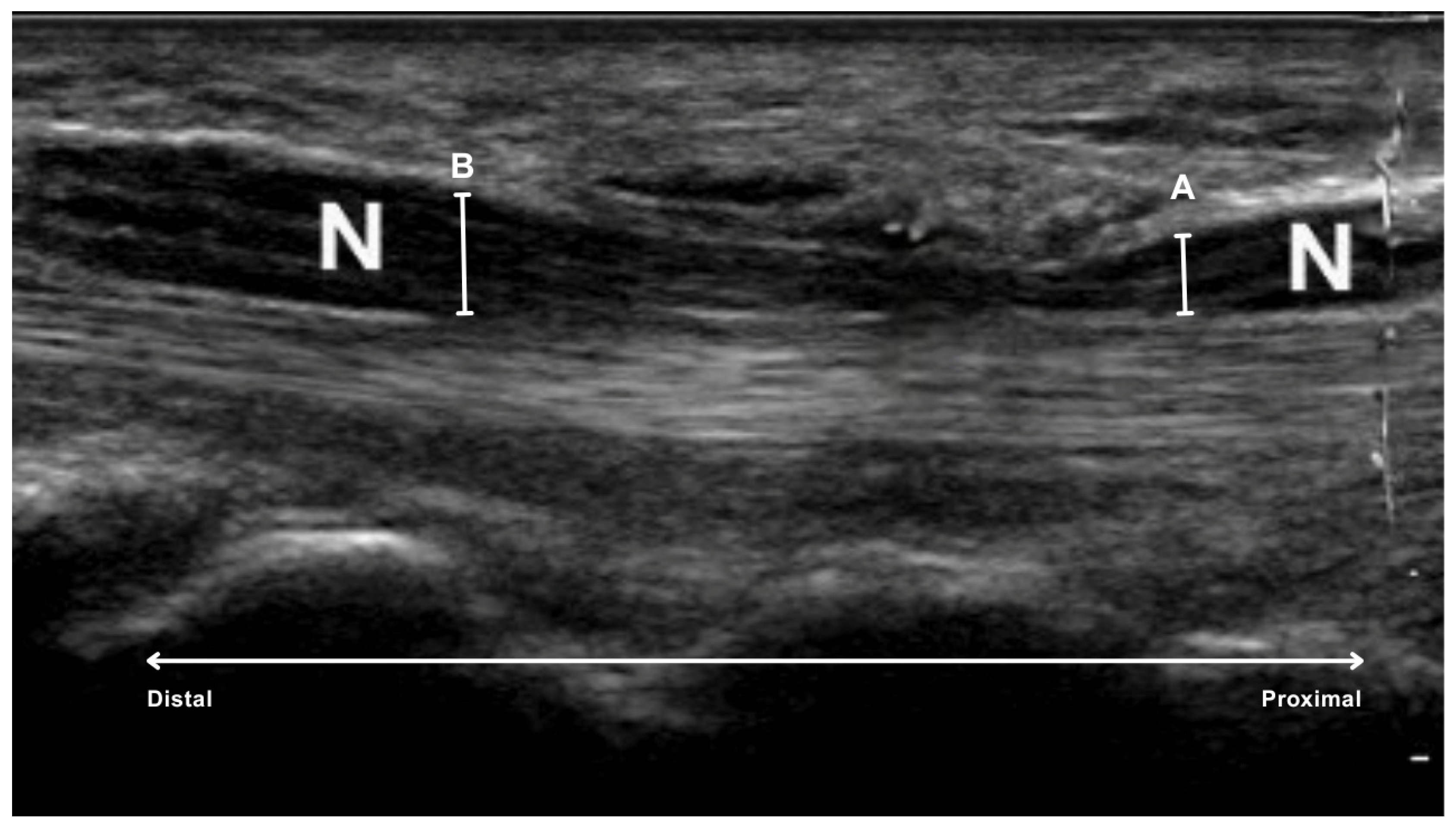 Diagnostics 15 02464 g002
