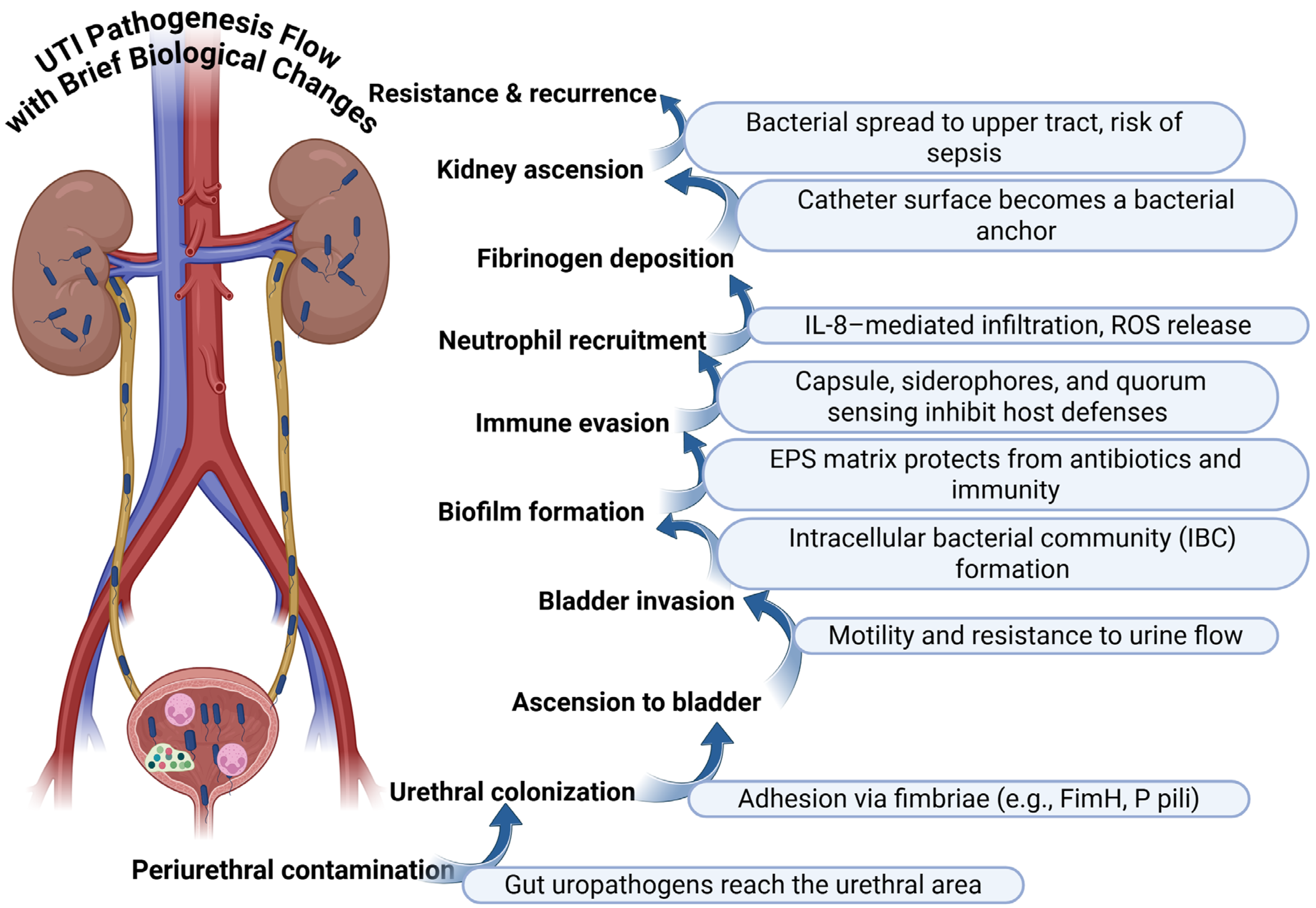 Diagnostics 15 02469 g001