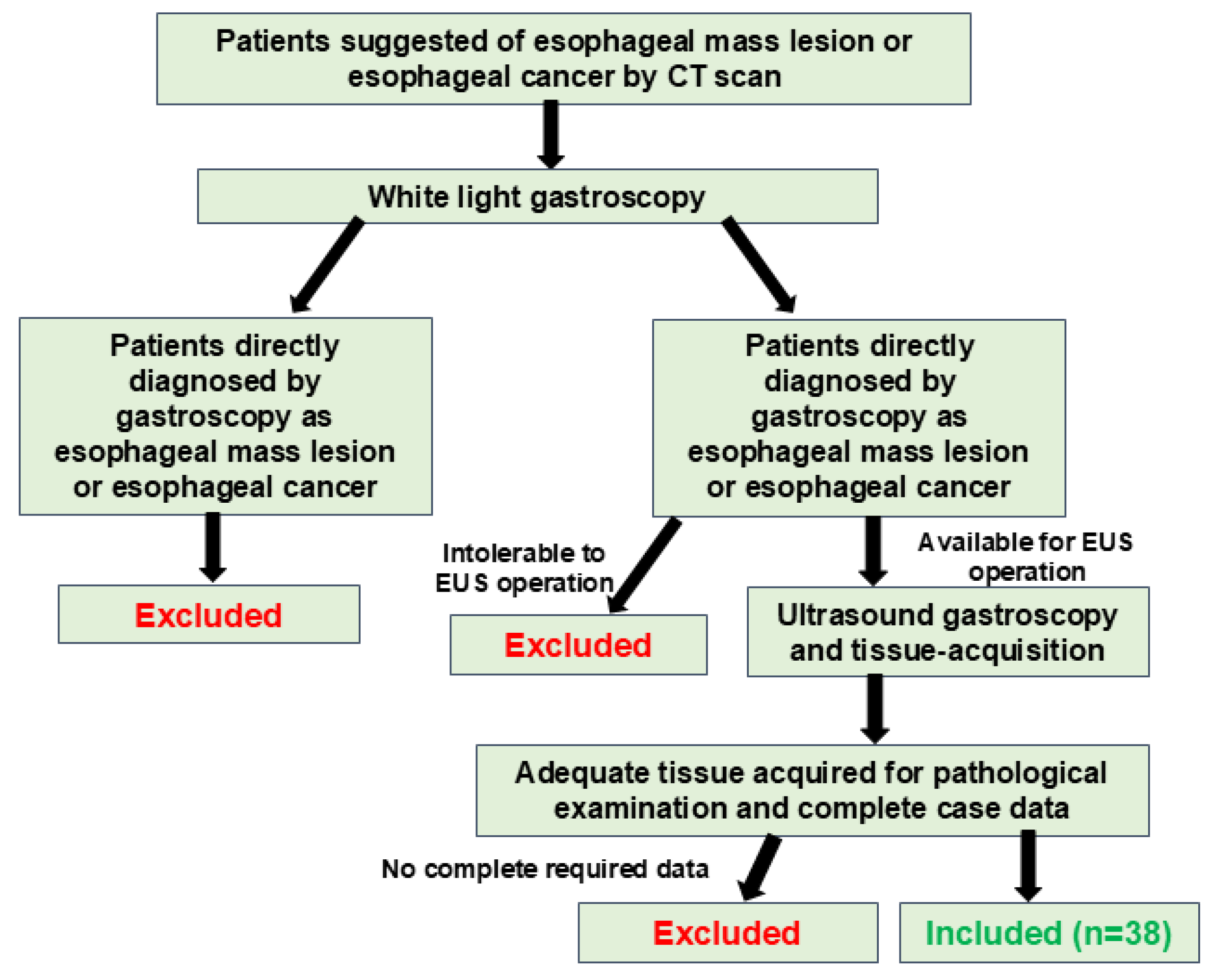 Diagnostics 15 02470 g001
