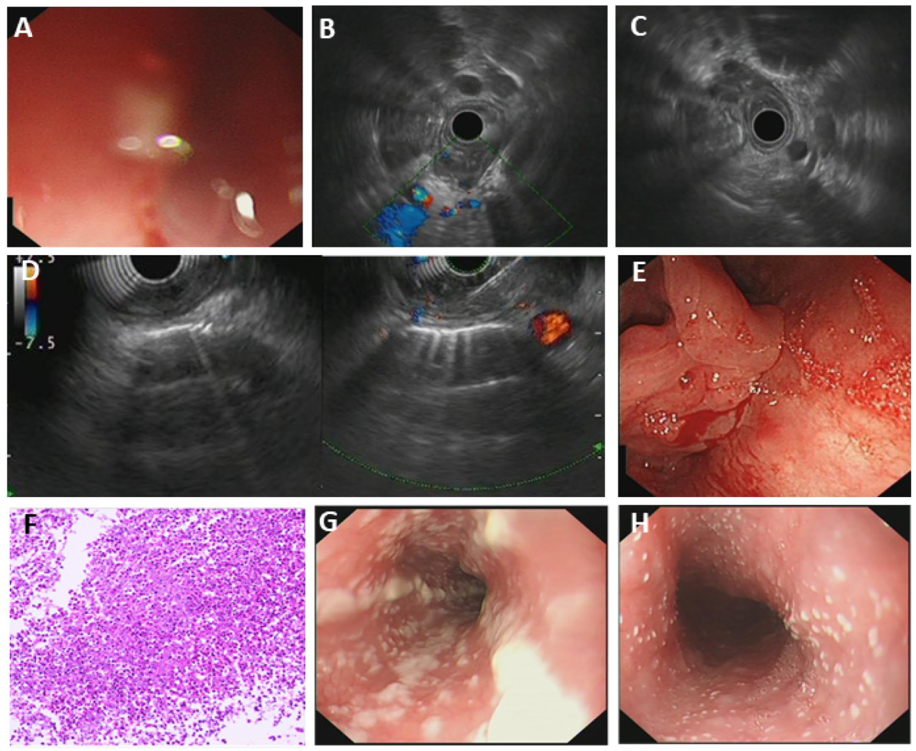 Diagnostics 15 02470 g002