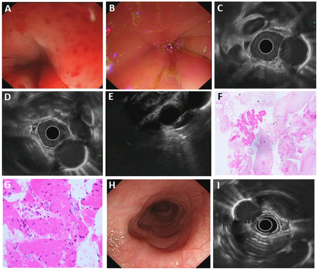 Diagnostics 15 02470 g003