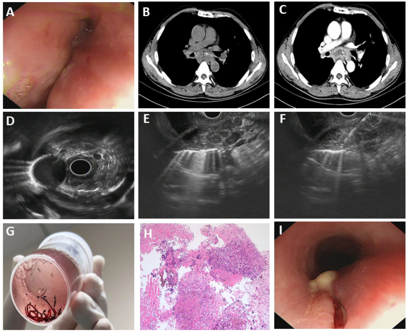 Diagnostics 15 02470 g004