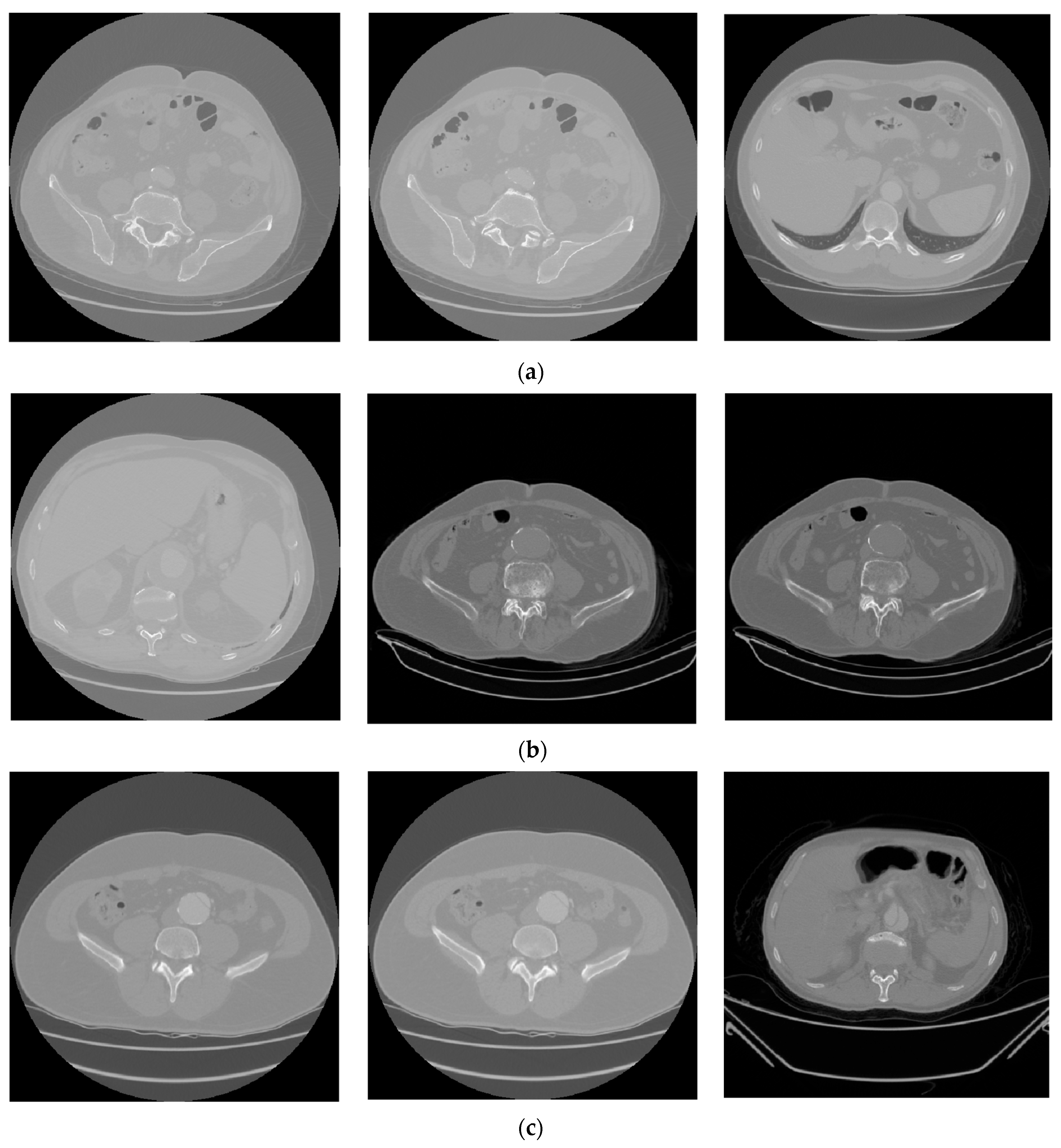 Diagnostics 15 02476 g002 Diagnostics 15 02476 g002
