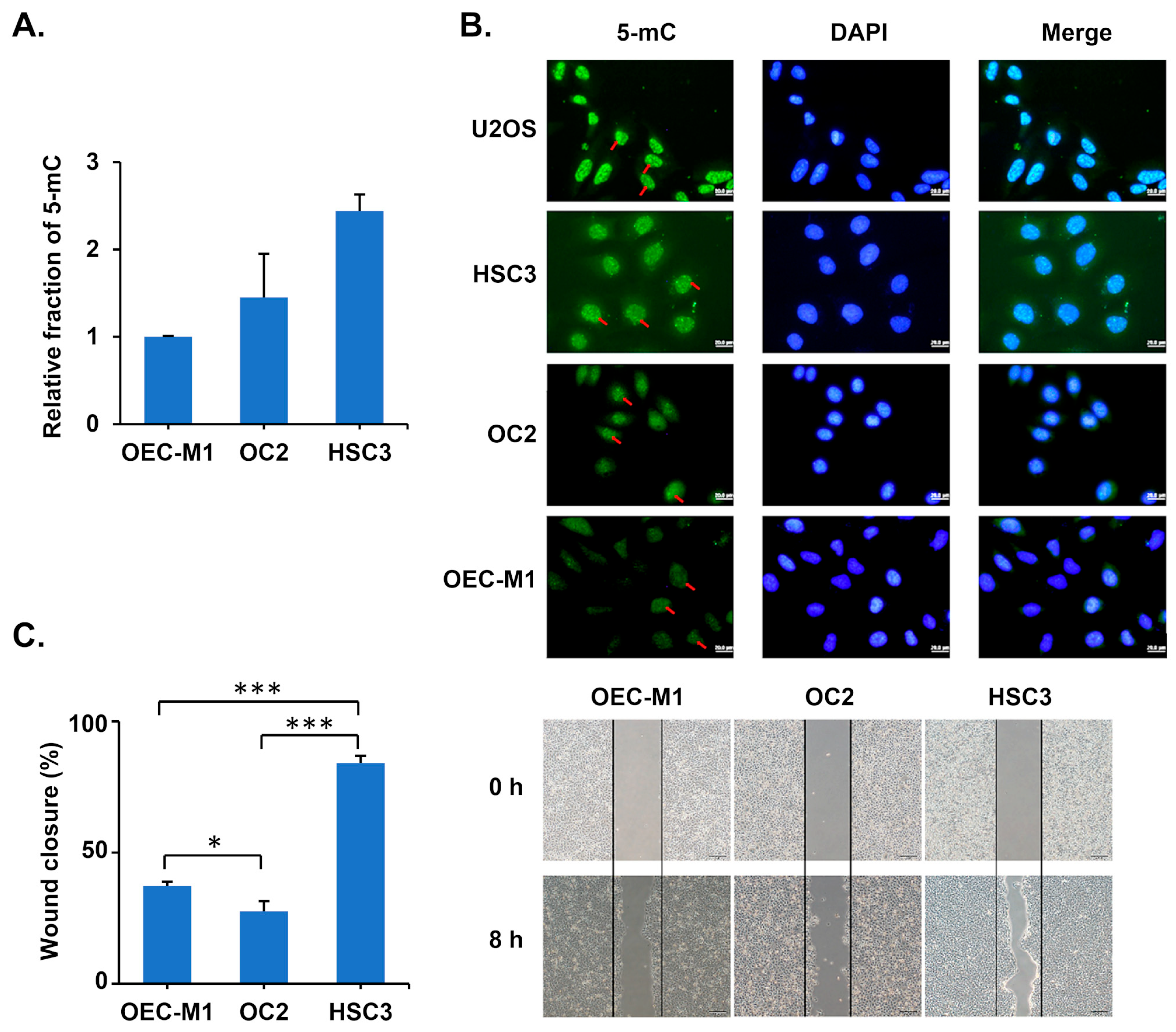 Diagnostics 15 02477 g002 Diagnostics 15 02477 g002