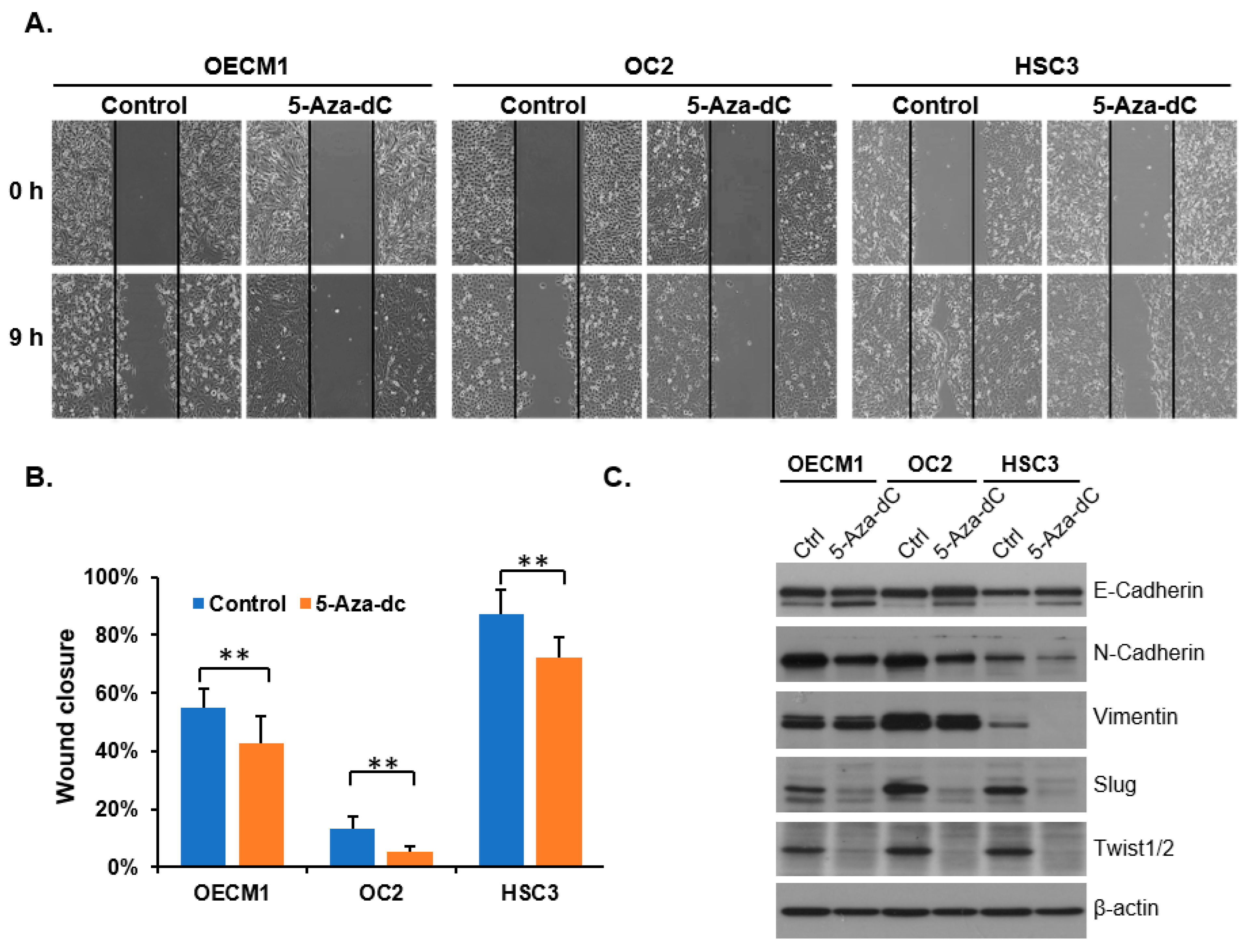 Diagnostics 15 02477 g004 Diagnostics 15 02477 g004