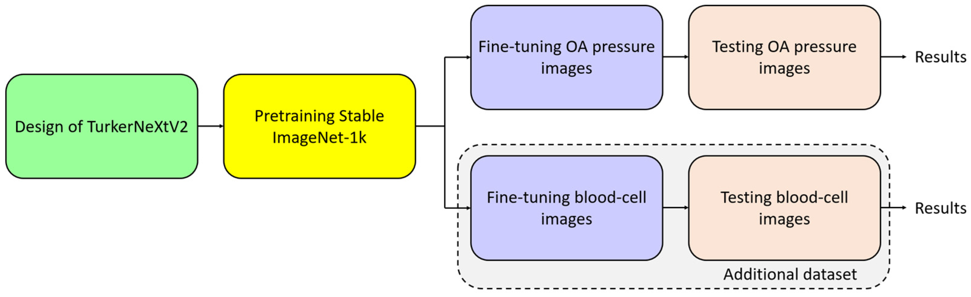 Diagnostics 15 02478 g006