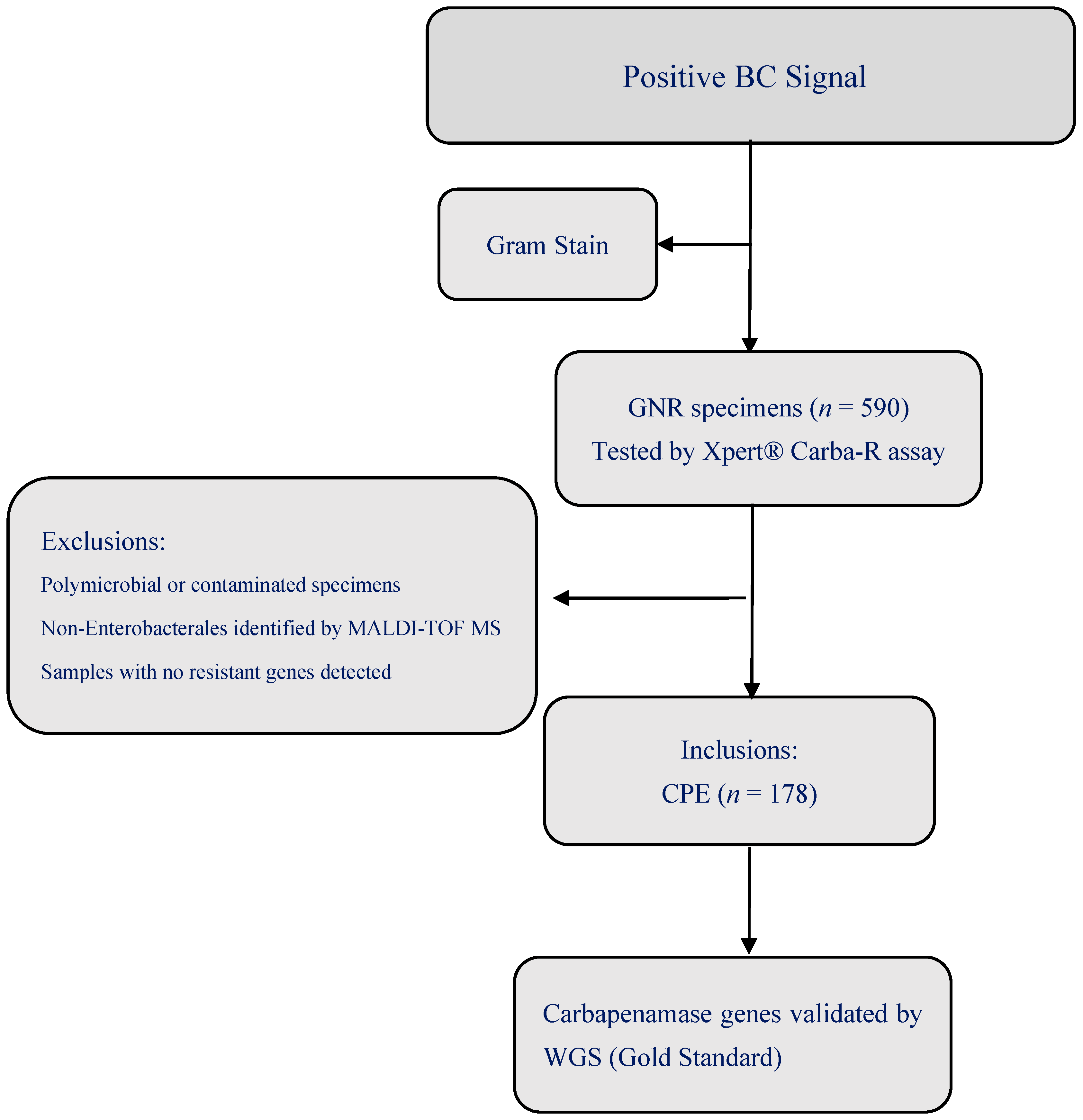 Diagnostics 15 02480 g001 Diagnostics 15 02480 g001