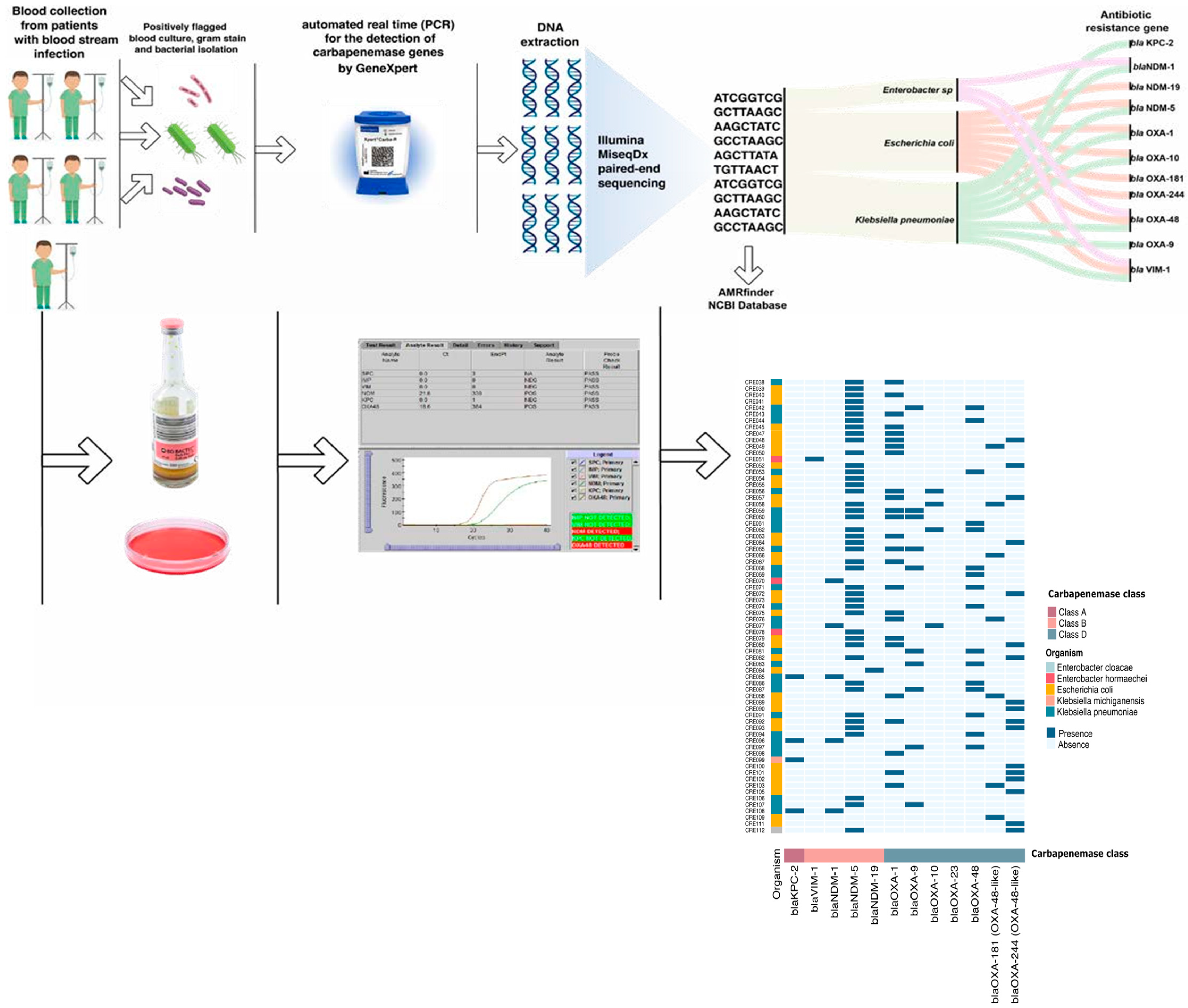 Diagnostics 15 02480 g002 Diagnostics 15 02480 g002