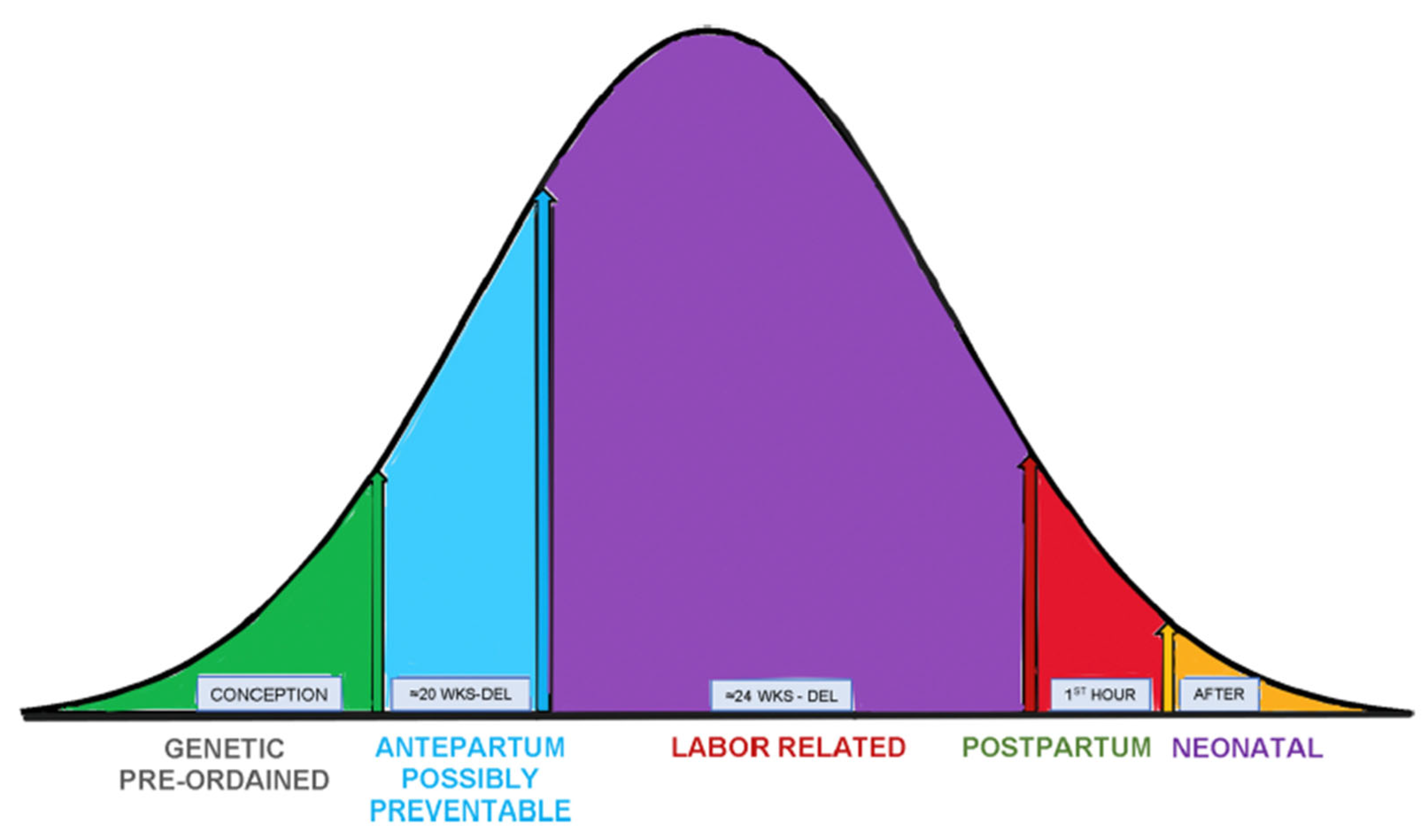 Diagnostics 15 02482 g005 Diagnostics 15 02482 g005