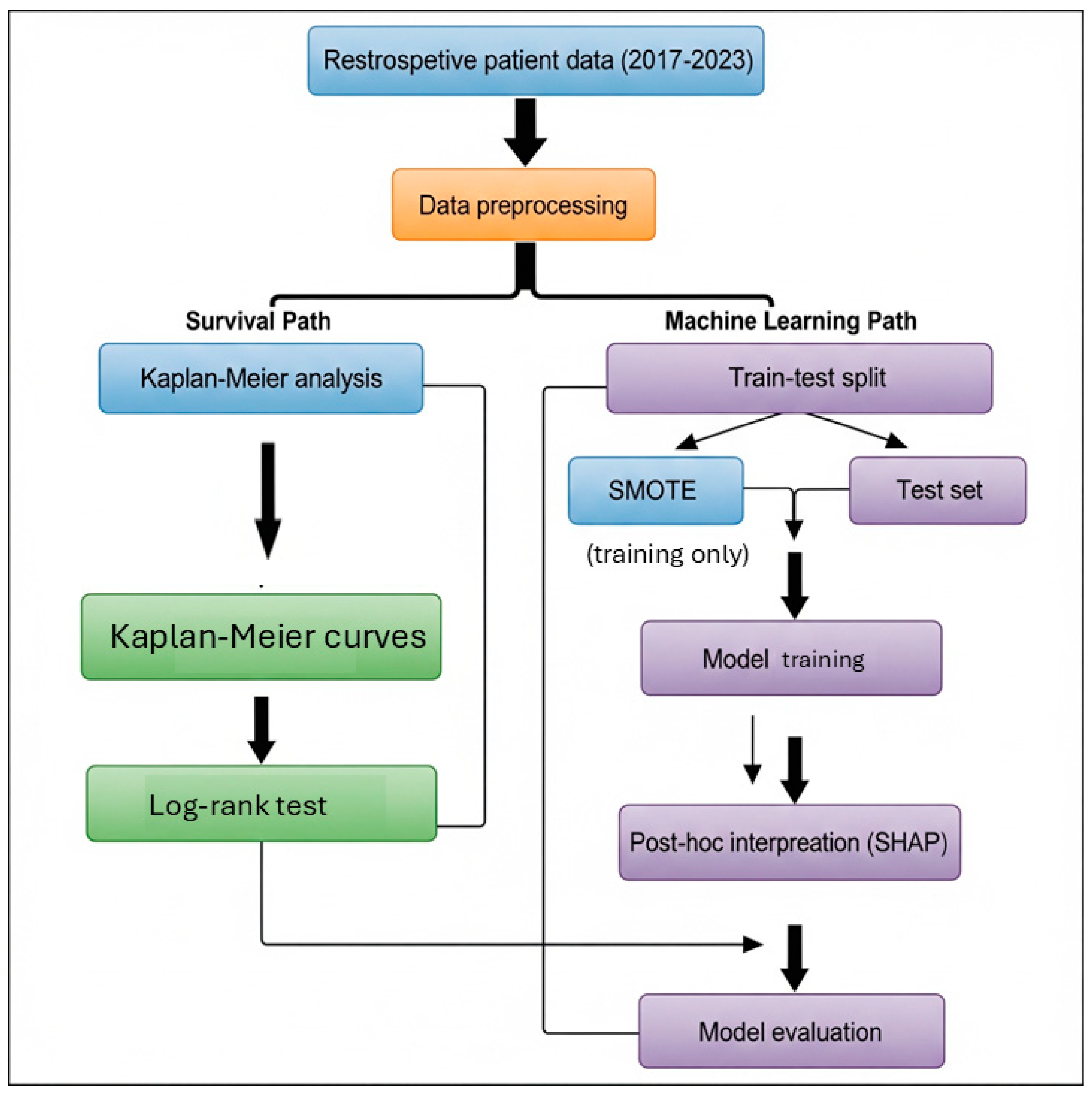 Diagnostics 15 02491 g001 Diagnostics 15 02491 g001