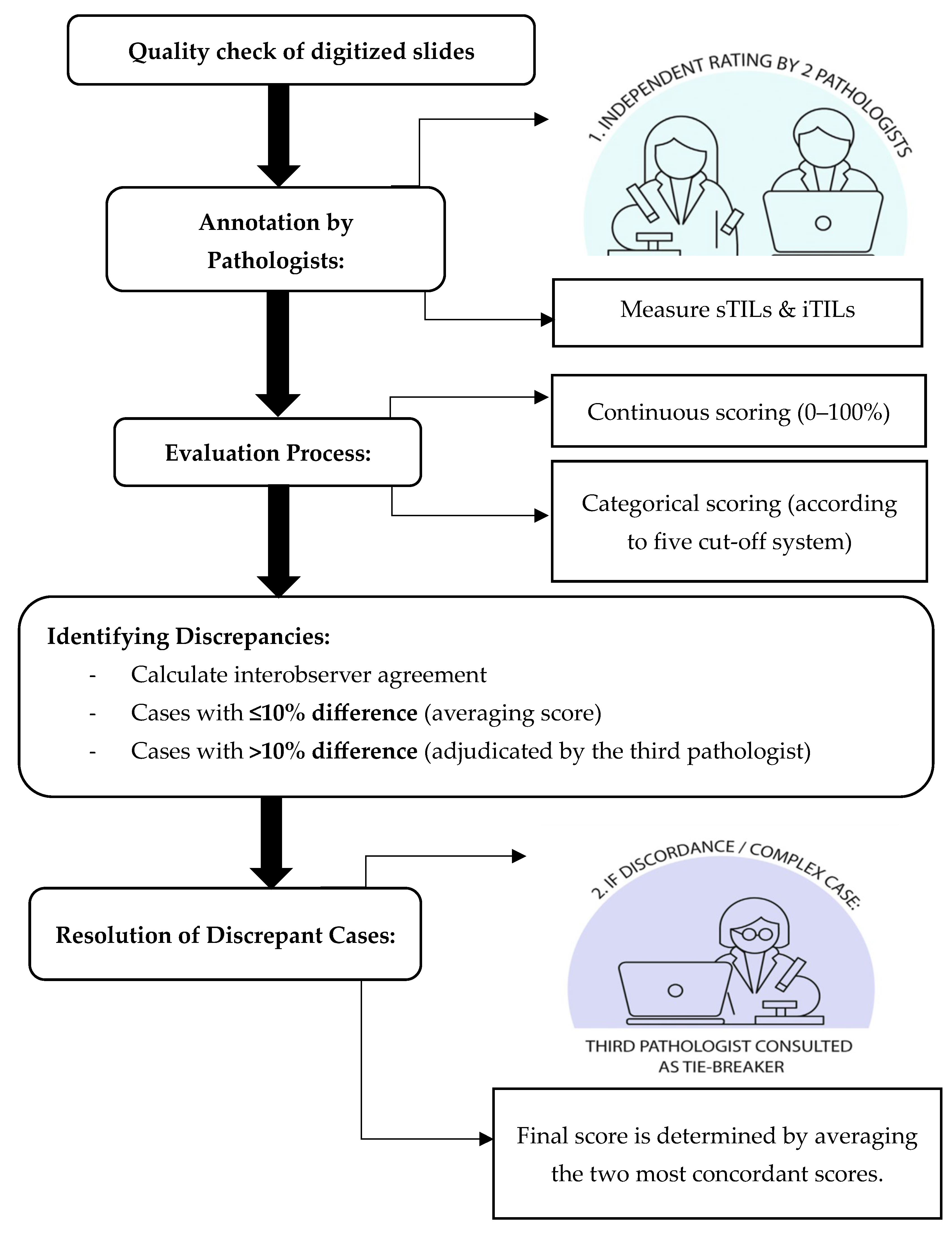 Diagnostics 15 02492 g001