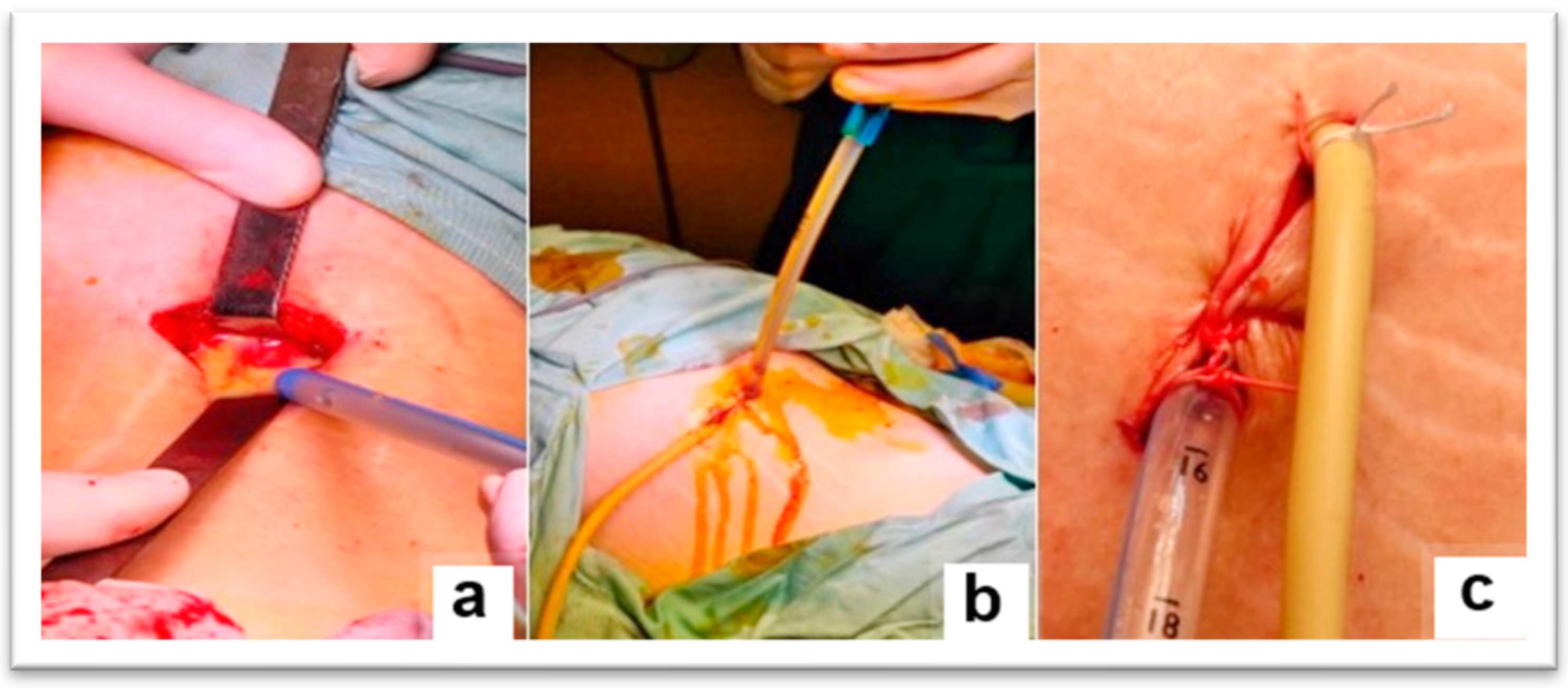 Diagnostics 15 02506 g004