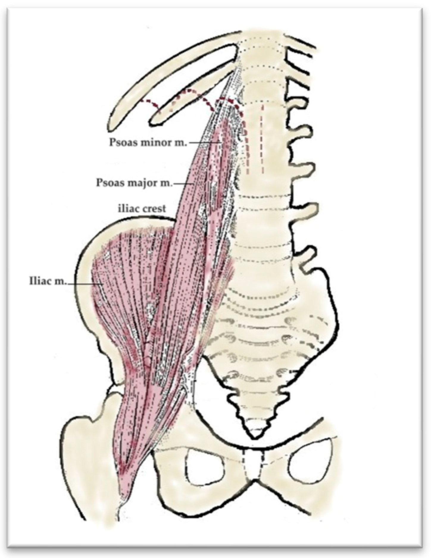 Diagnostics 15 02506 g006