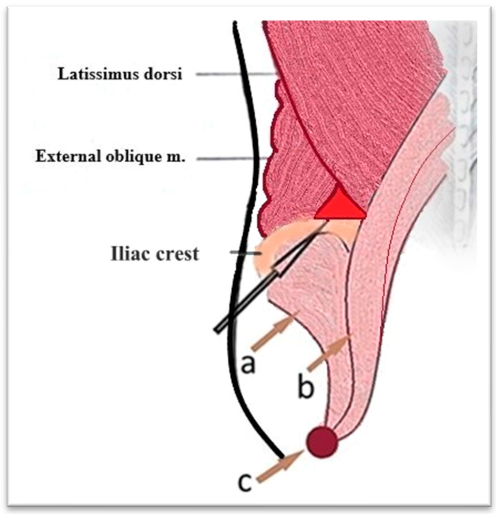 Diagnostics 15 02506 g007