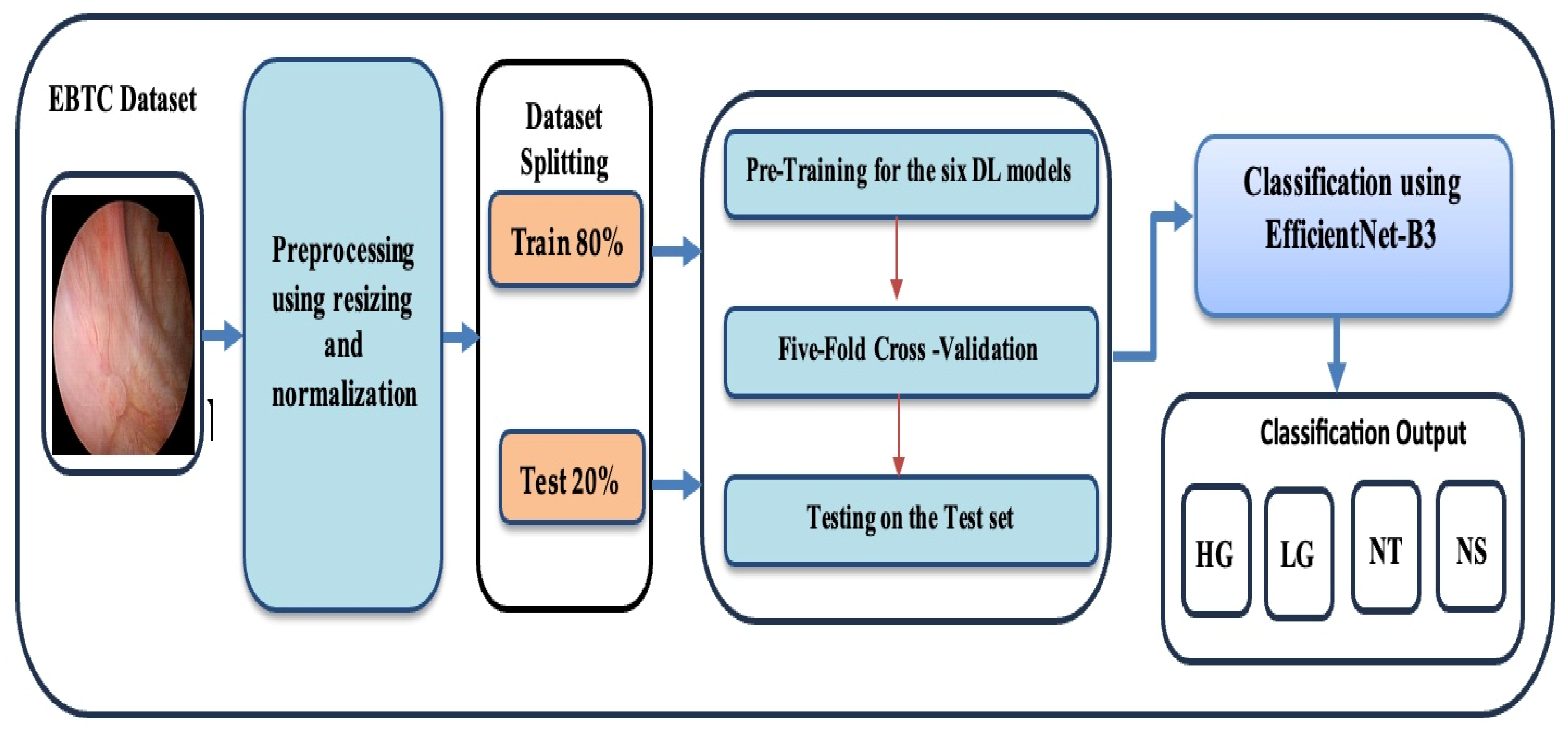 Diagnostics 15 02515 g001