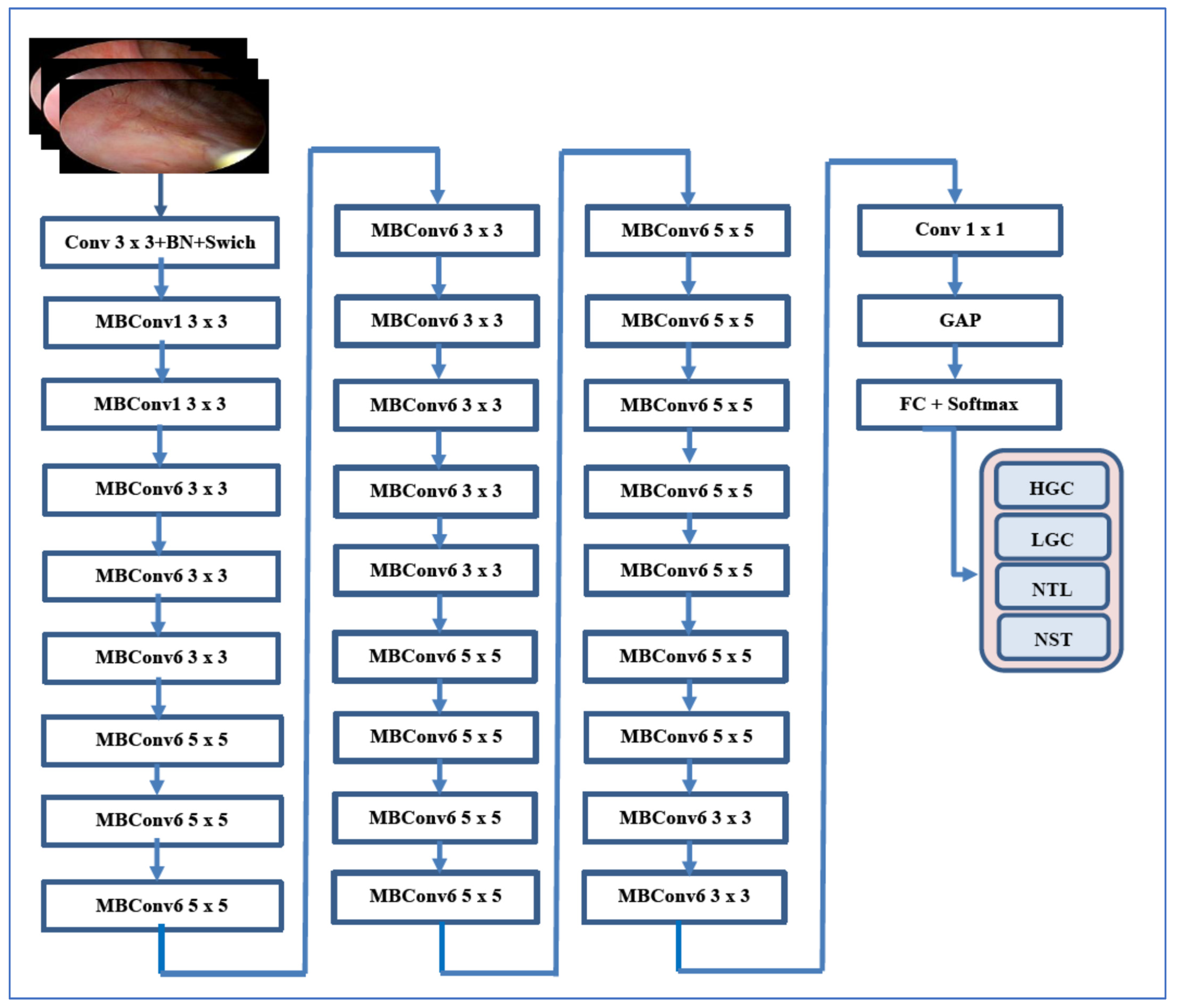 Diagnostics 15 02515 g002