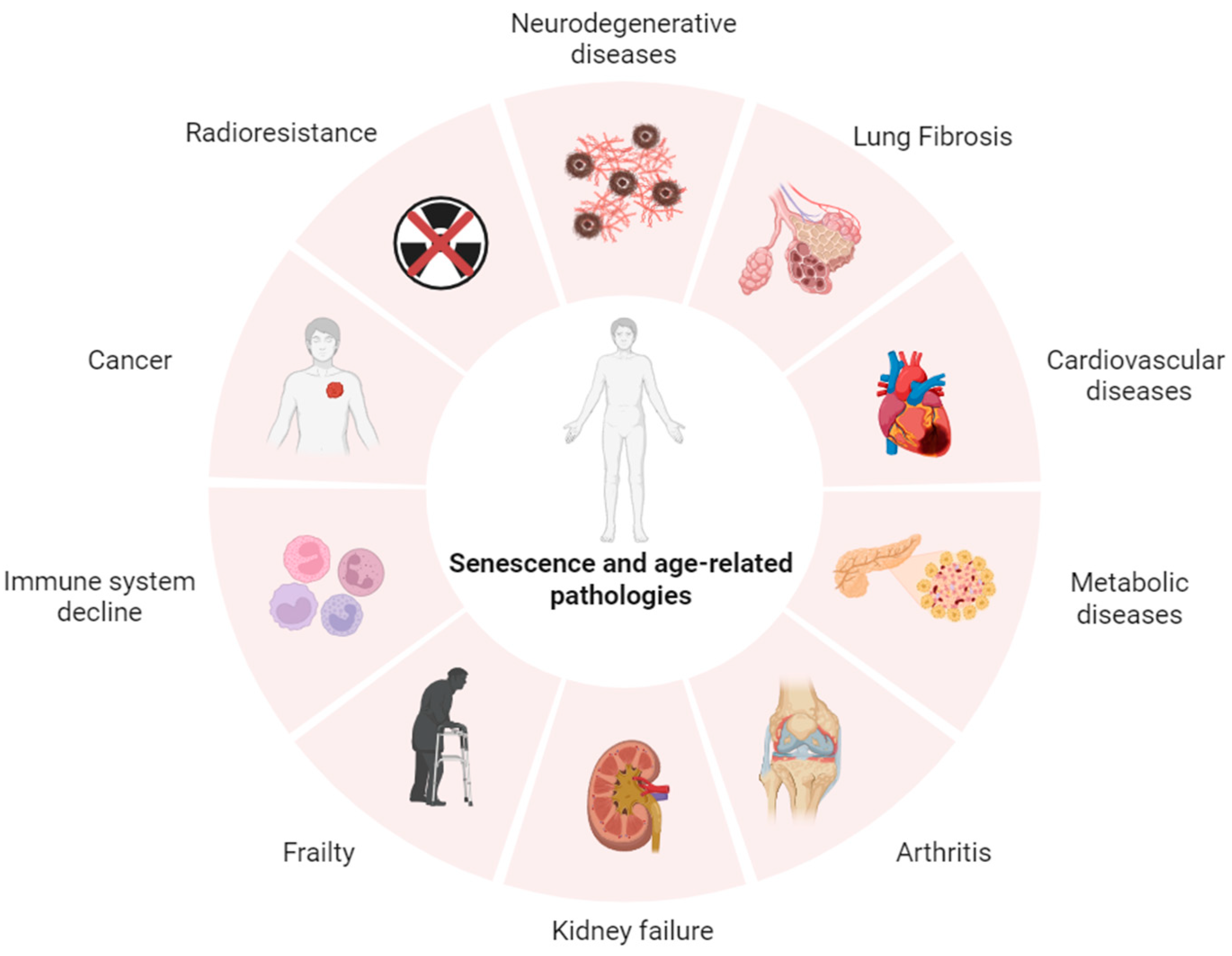 Diagnostics 15 02518 g001