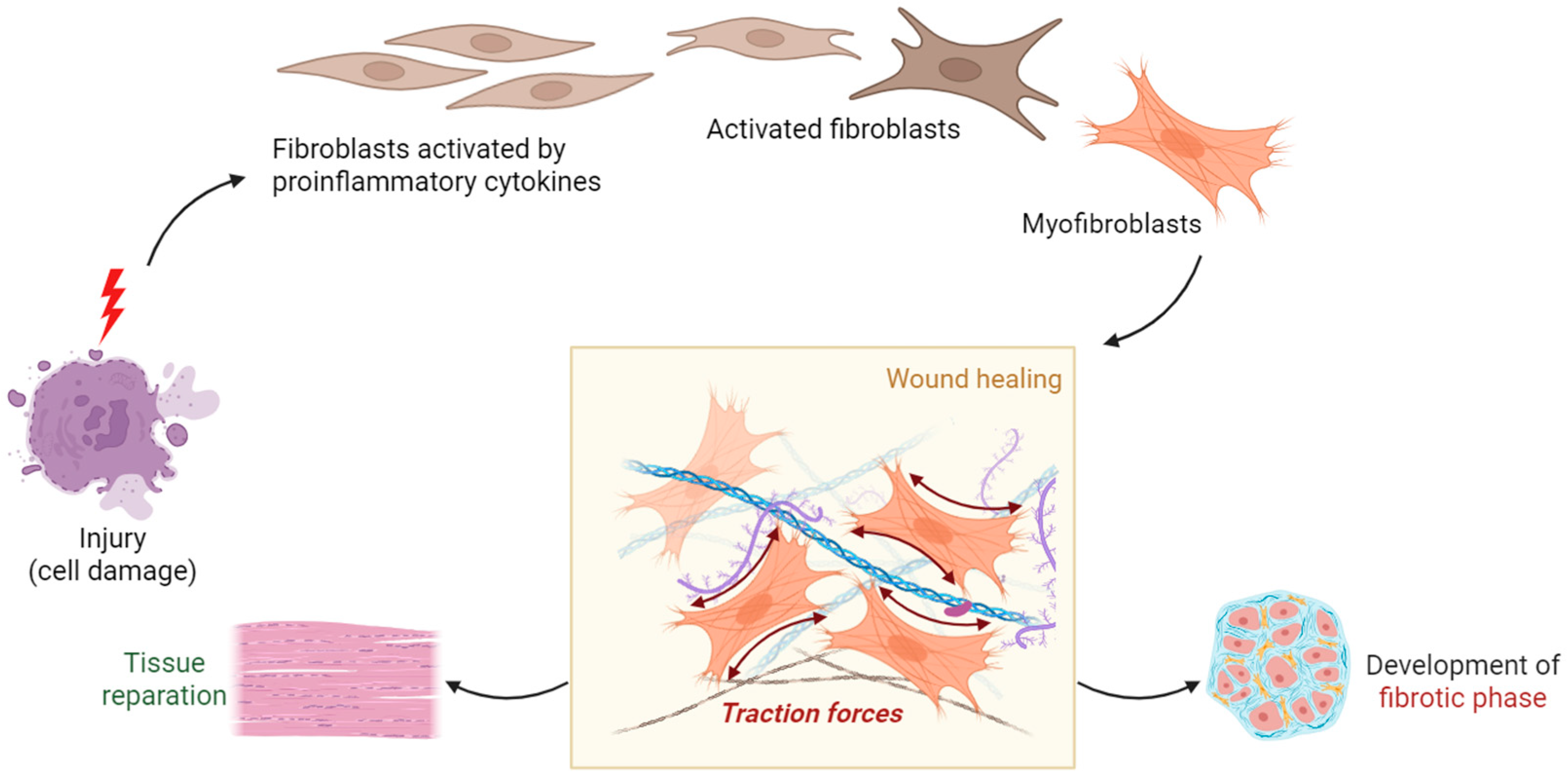 Diagnostics 15 02518 g006