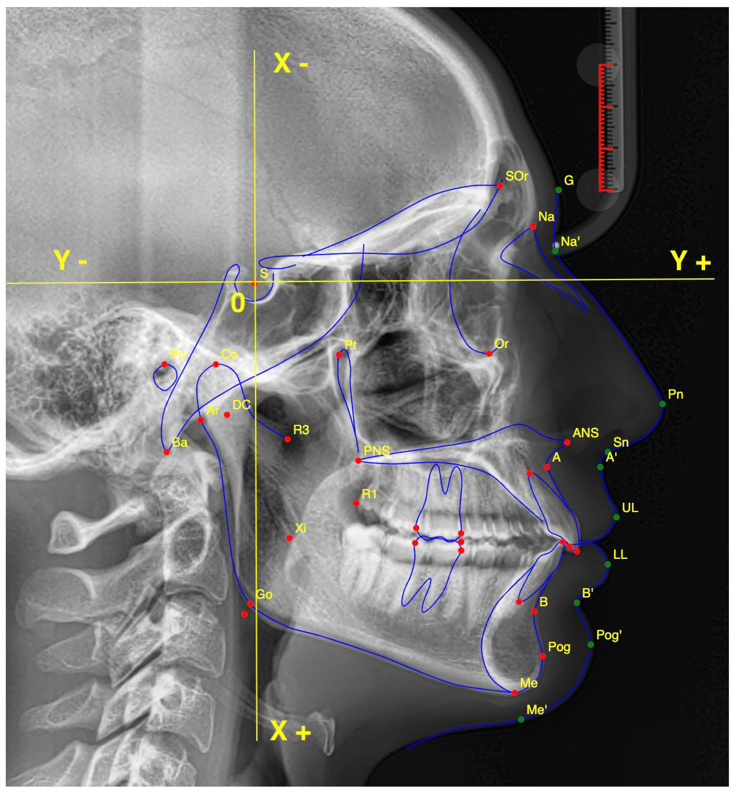 Diagnostics 15 02521 g001 Diagnostics 15 02521 g001