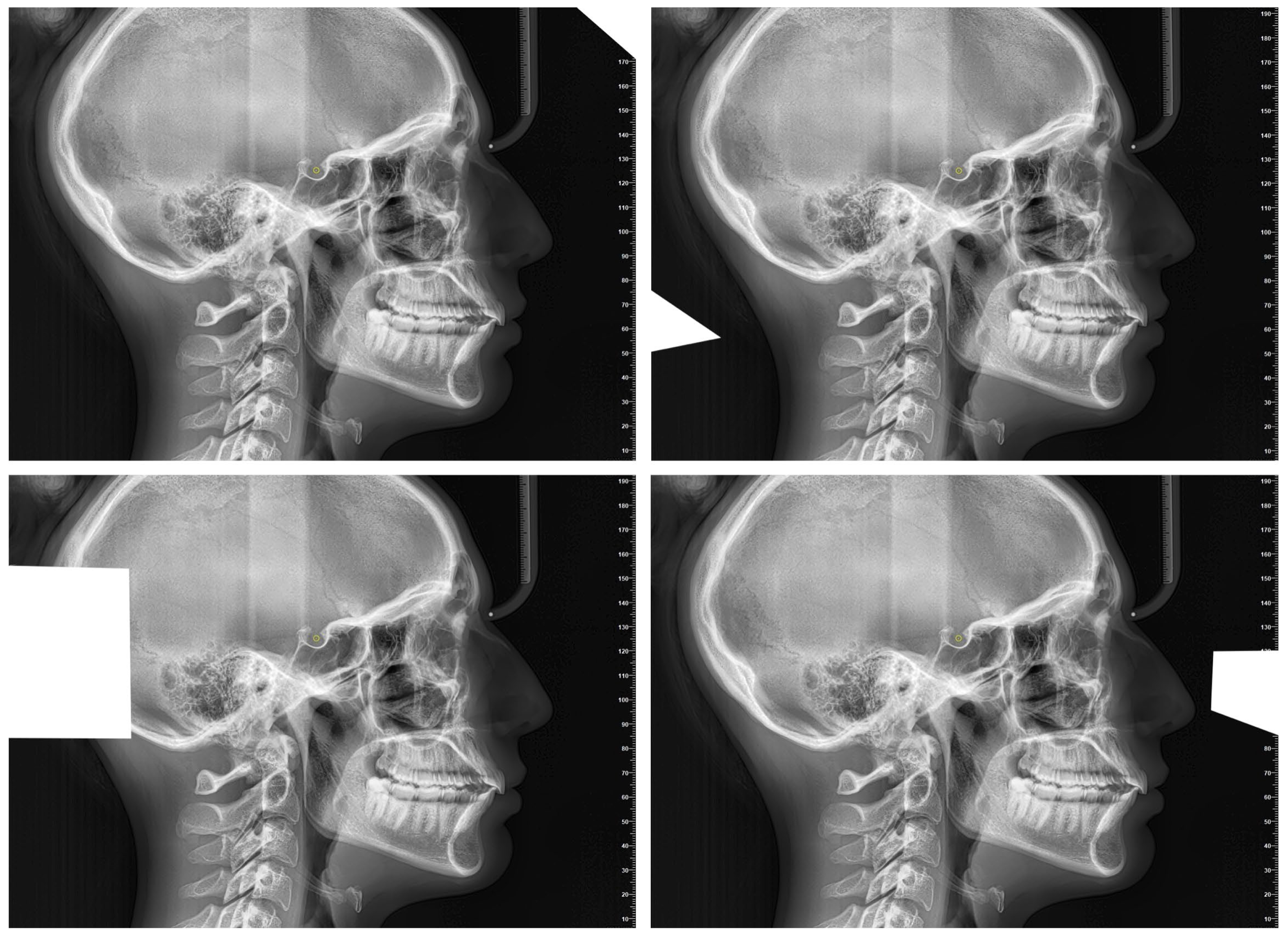 Diagnostics 15 02521 g002 Diagnostics 15 02521 g002