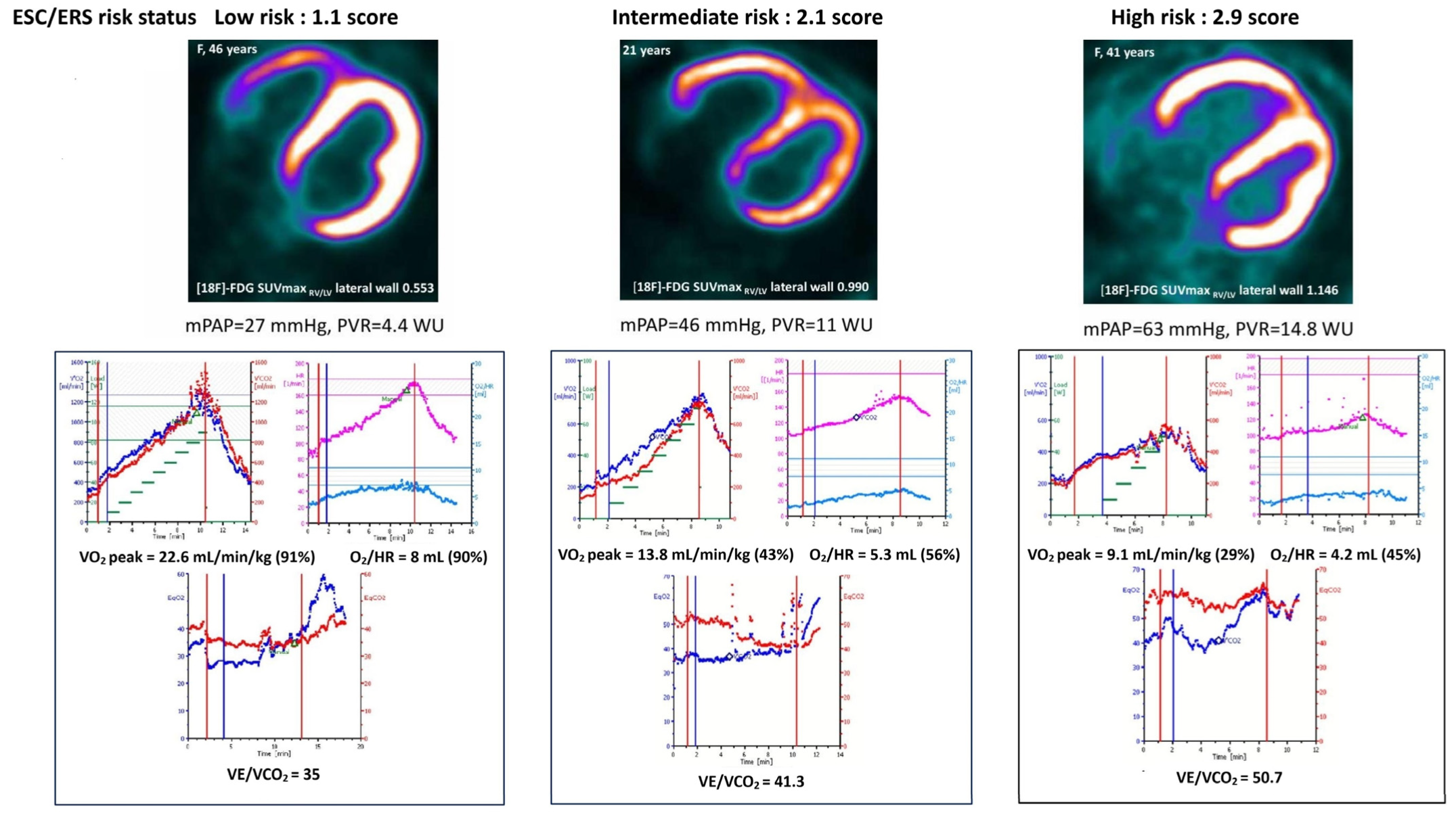 Diagnostics 15 02523 g003