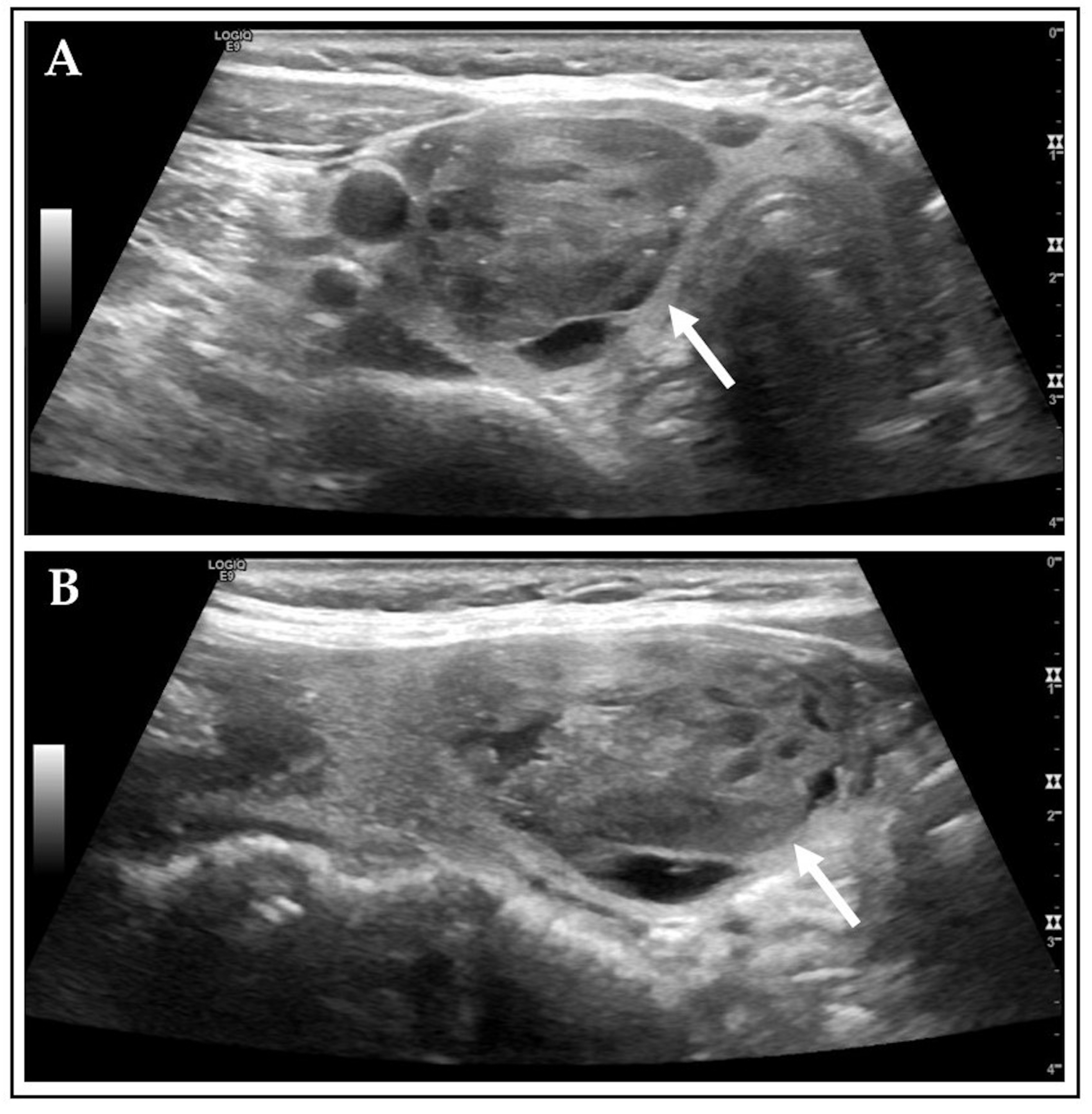 Diagnostics 15 02525 g002