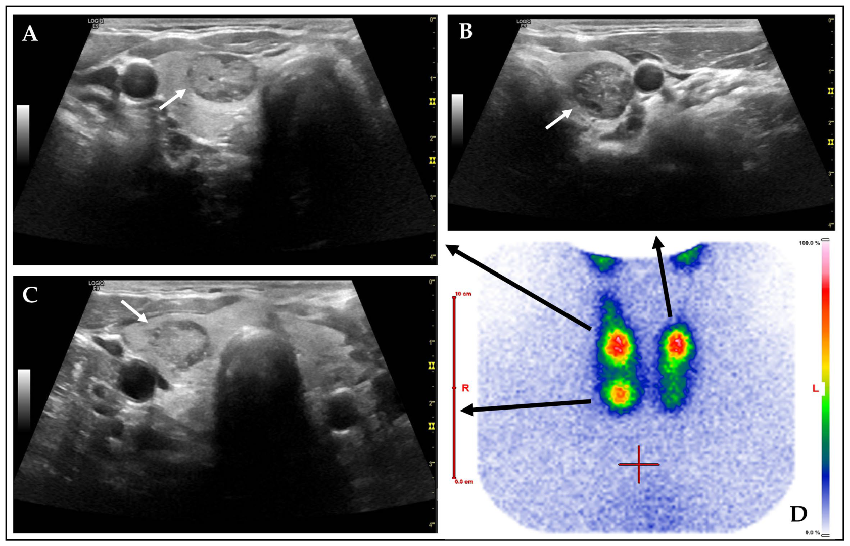Diagnostics 15 02525 g003