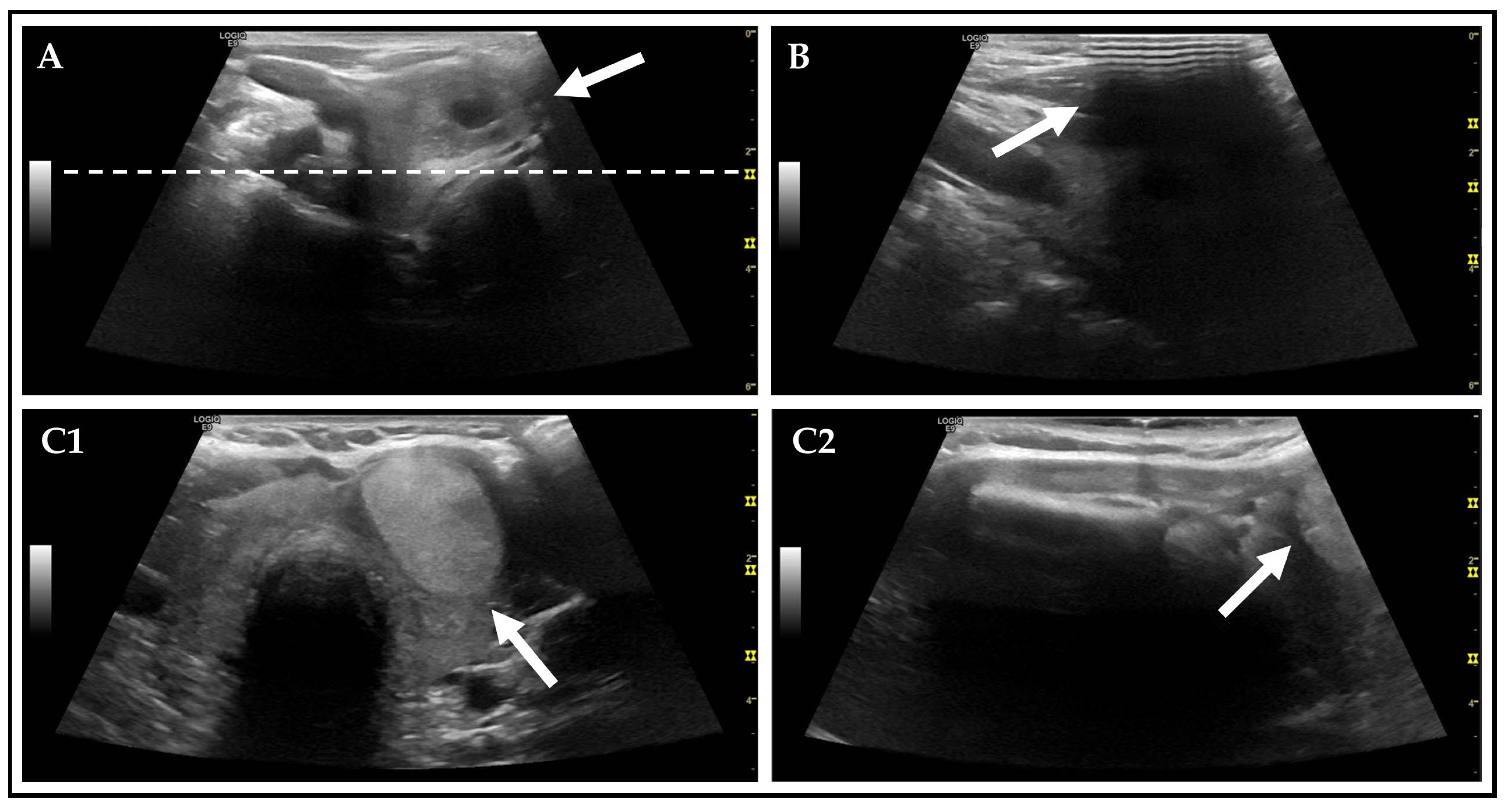 Diagnostics 15 02525 g004