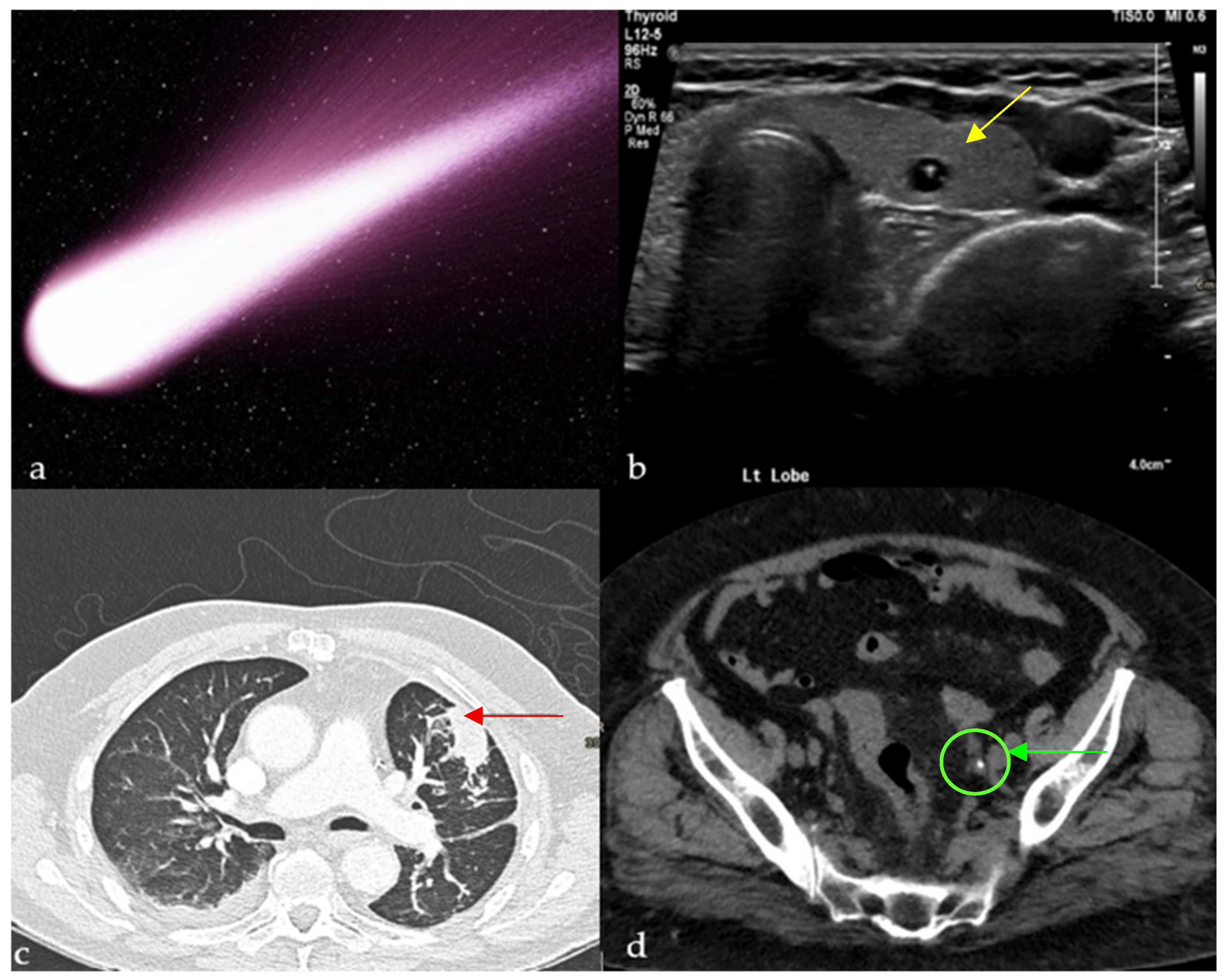 Diagnostics 15 02528 g001 Diagnostics 15 02528 g001