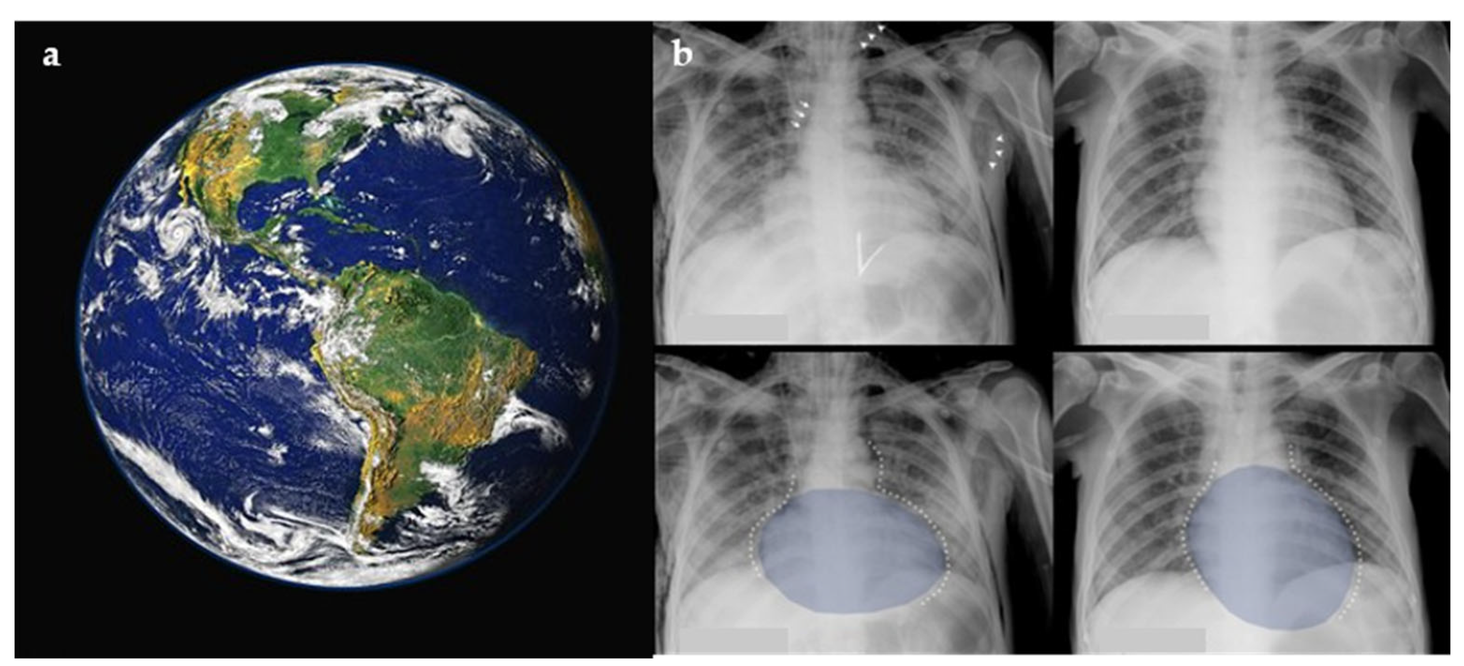 Diagnostics 15 02528 g002 Diagnostics 15 02528 g002