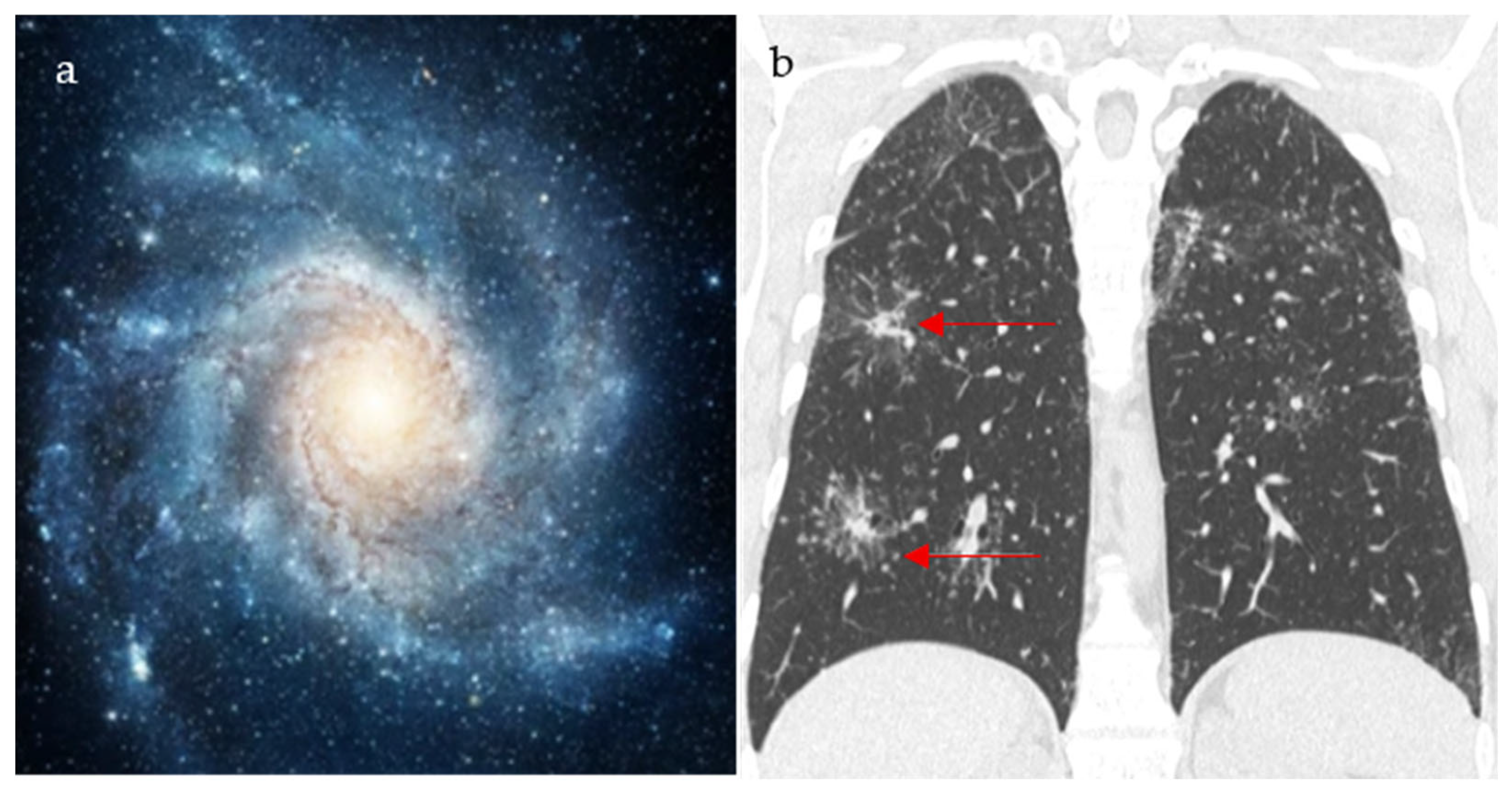 Diagnostics 15 02528 g003 Diagnostics 15 02528 g003