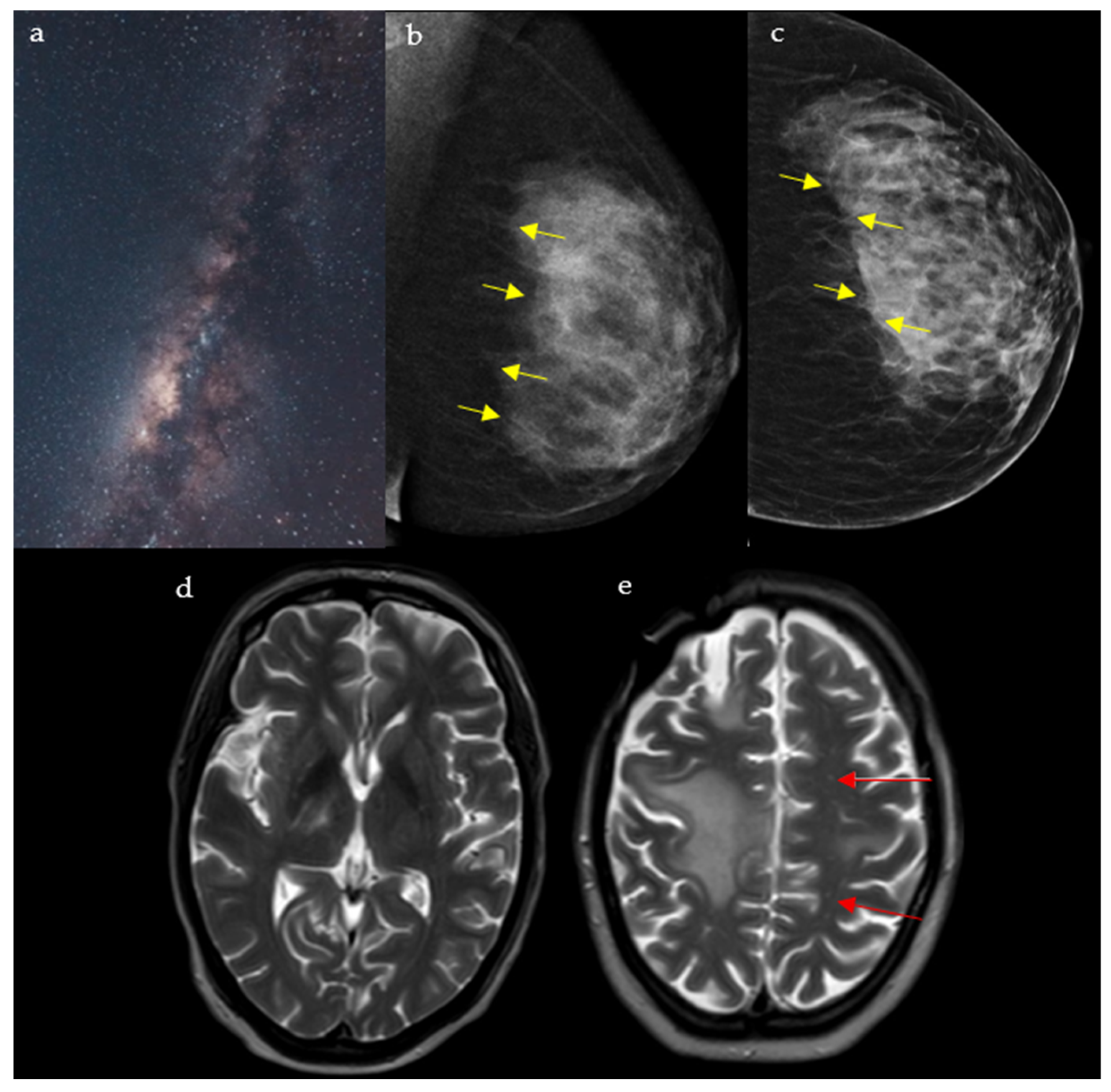 Diagnostics 15 02528 g005 Diagnostics 15 02528 g005