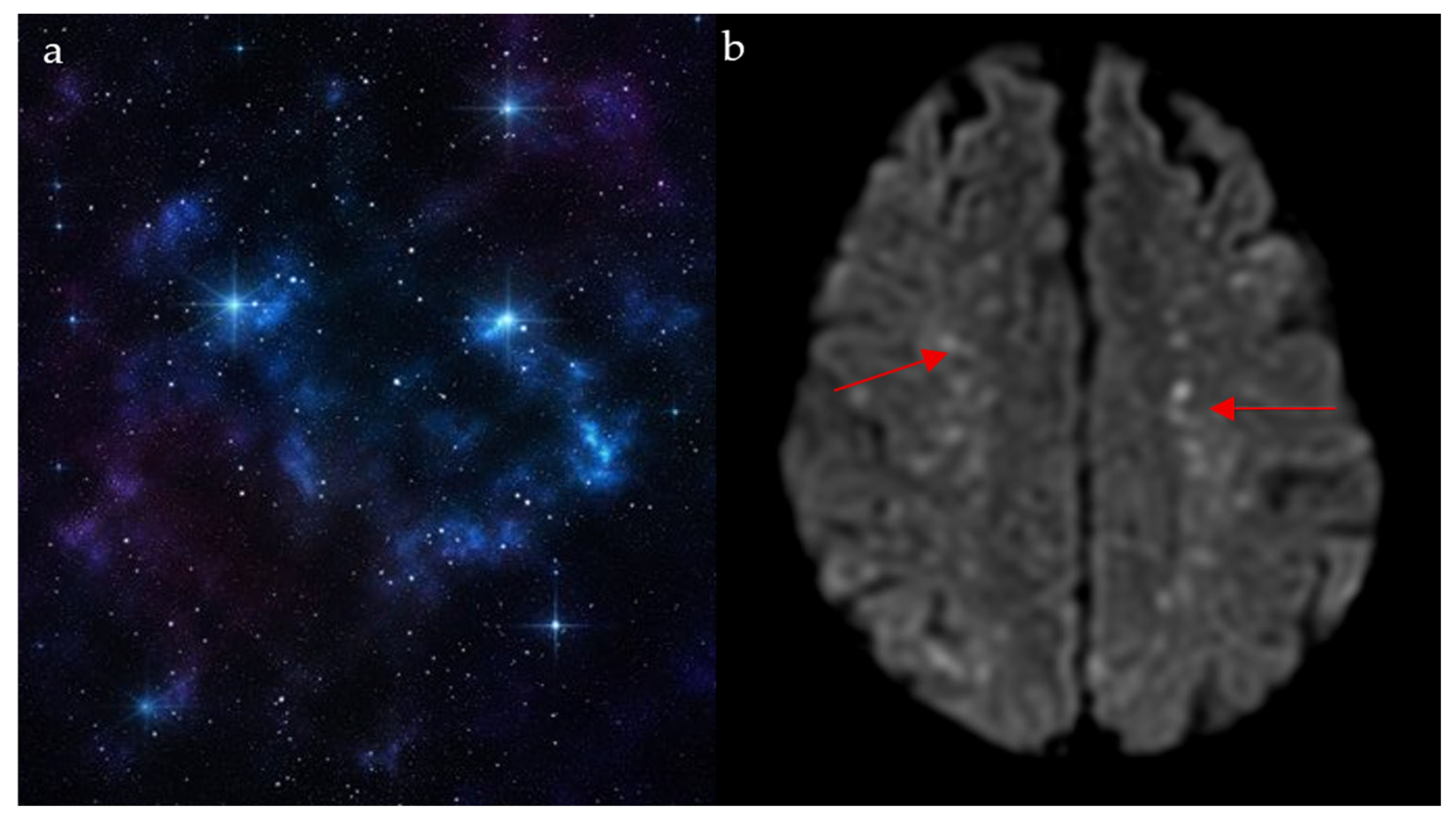 Diagnostics 15 02528 g006 Diagnostics 15 02528 g006