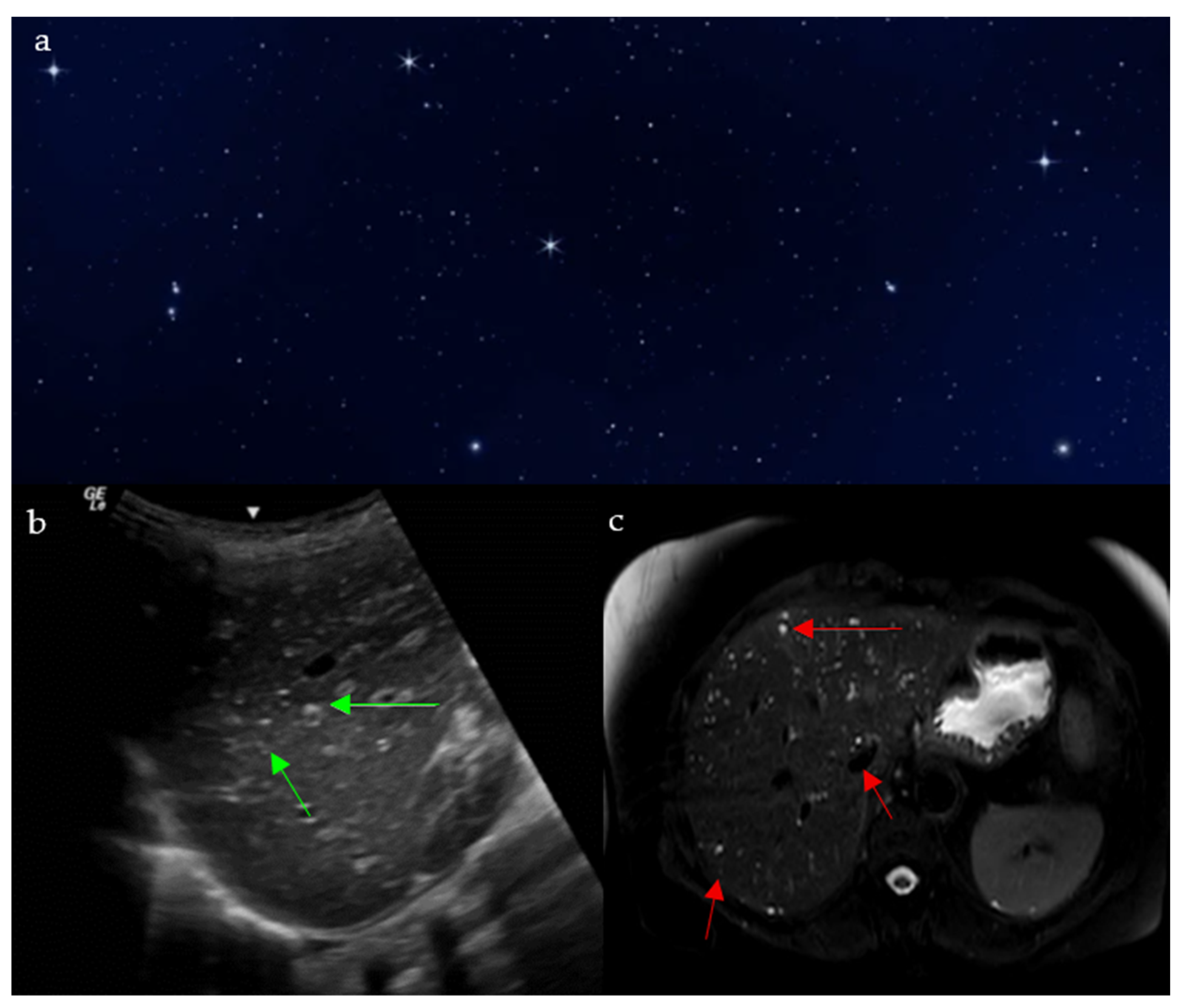 Diagnostics 15 02528 g008 Diagnostics 15 02528 g008
