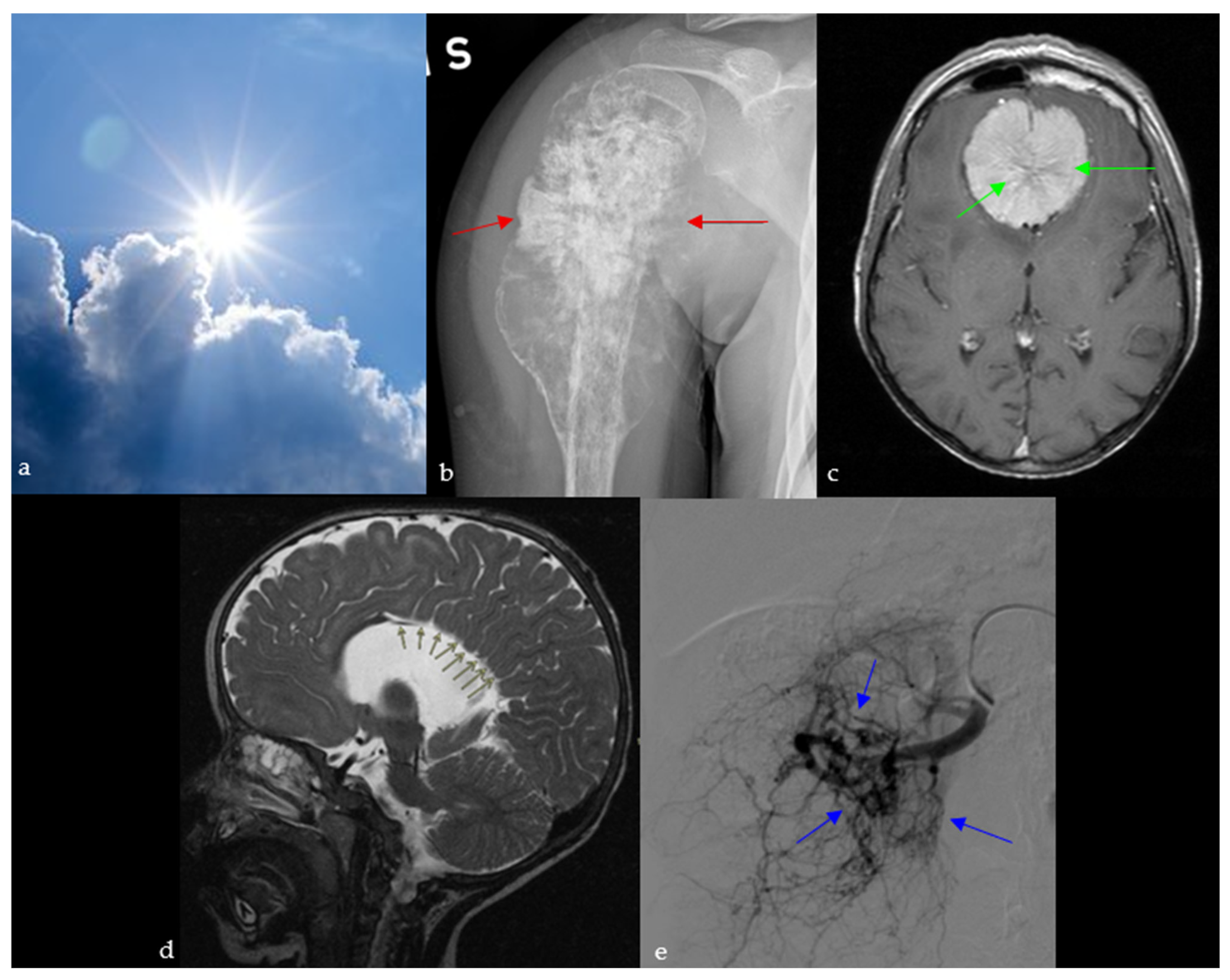 Diagnostics 15 02528 g009 Diagnostics 15 02528 g009