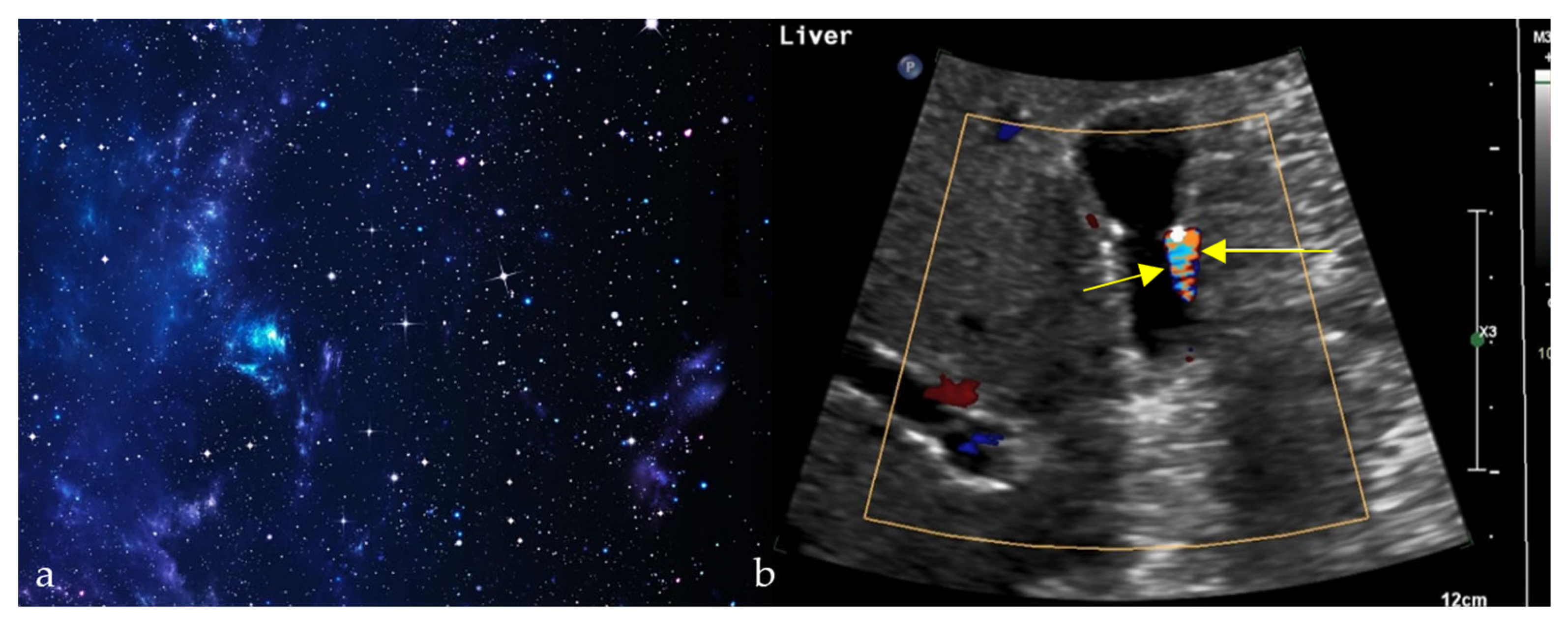 Diagnostics 15 02528 g010 Diagnostics 15 02528 g010