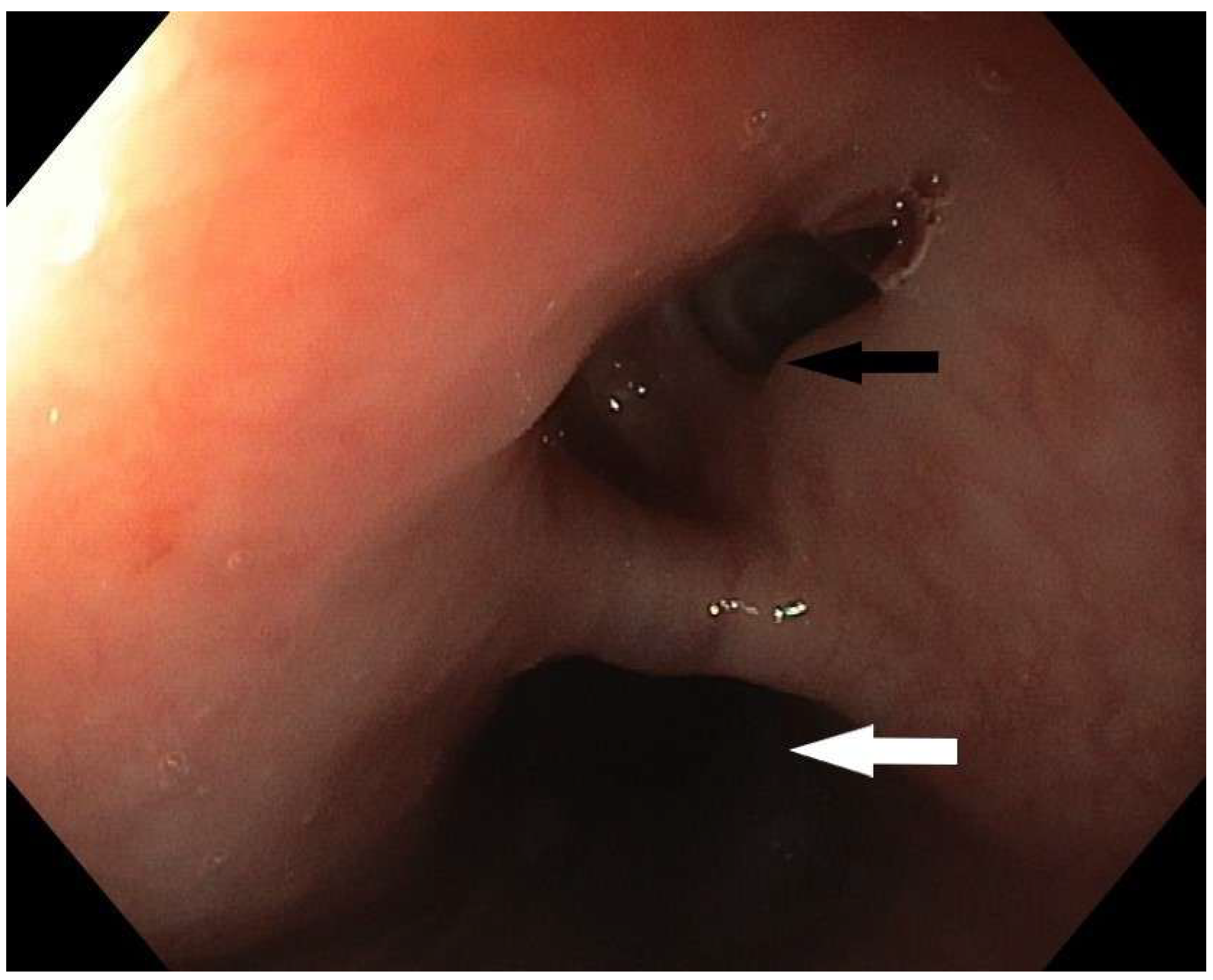 Diagnostics 15 02529 g001