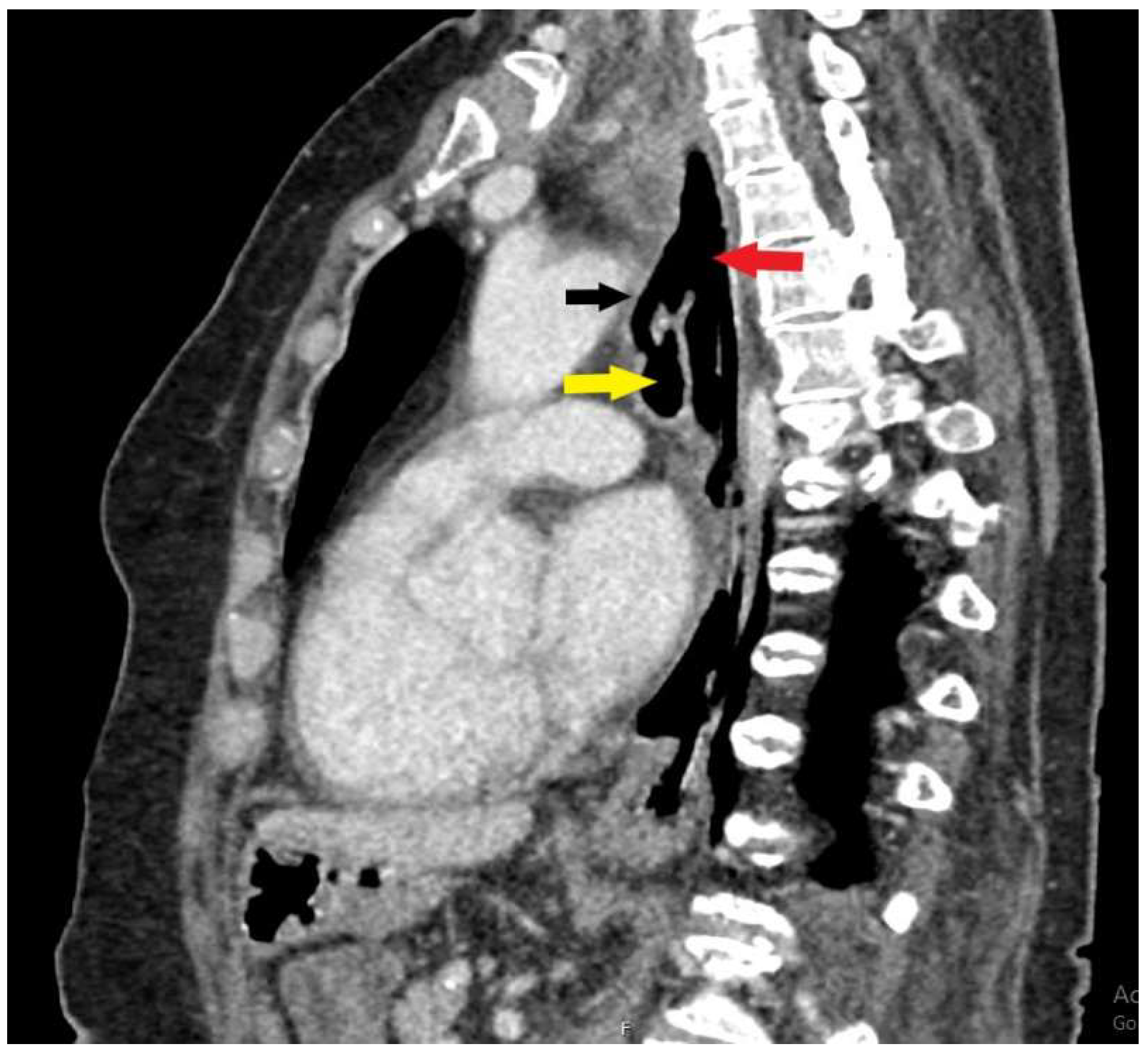 Diagnostics 15 02529 g002