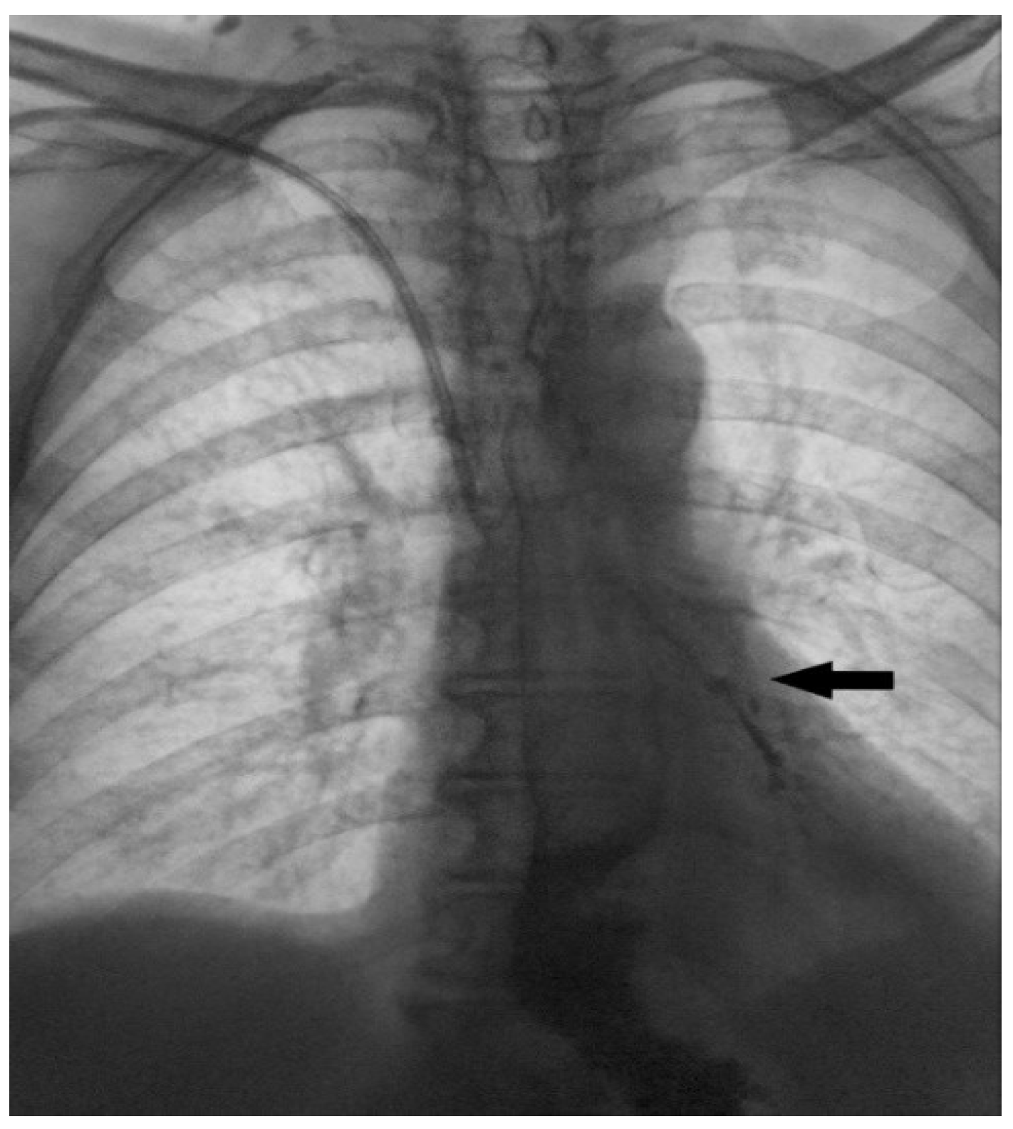 Diagnostics 15 02529 g004