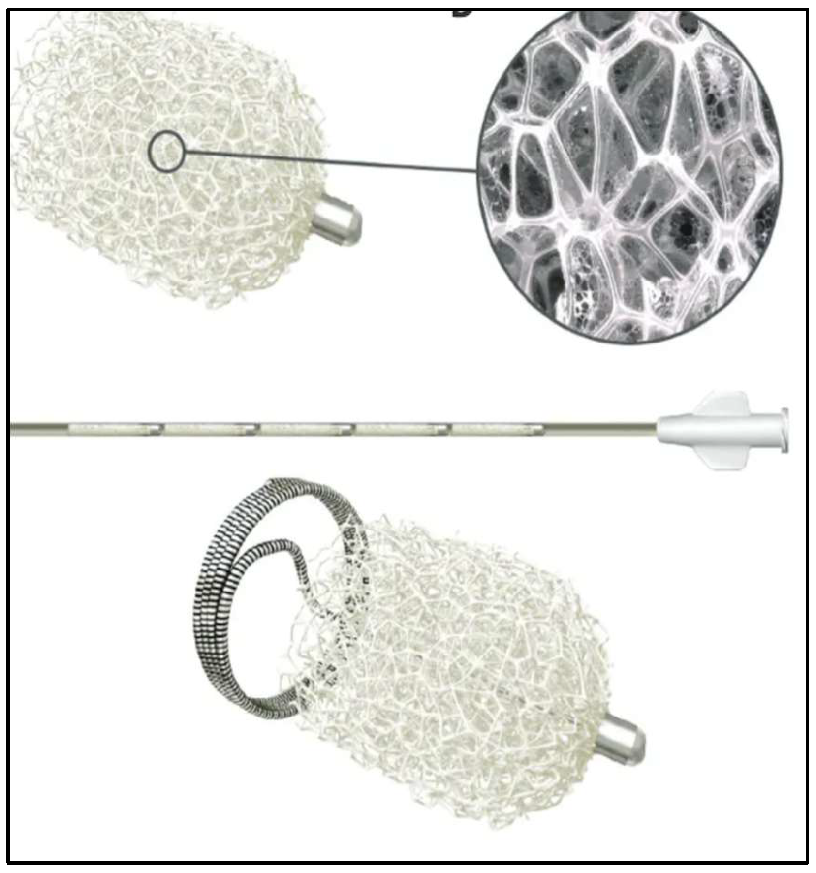 Diagnostics 15 02529 g005