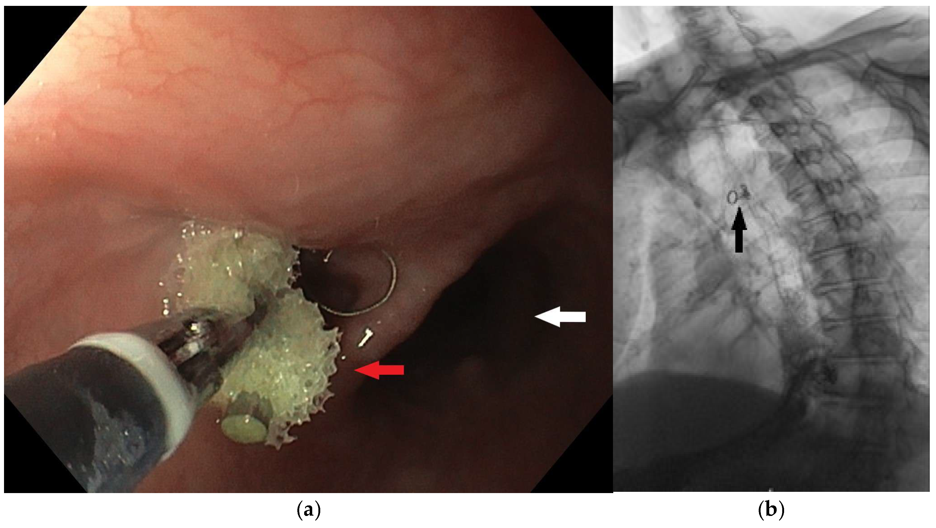 Diagnostics 15 02529 g006