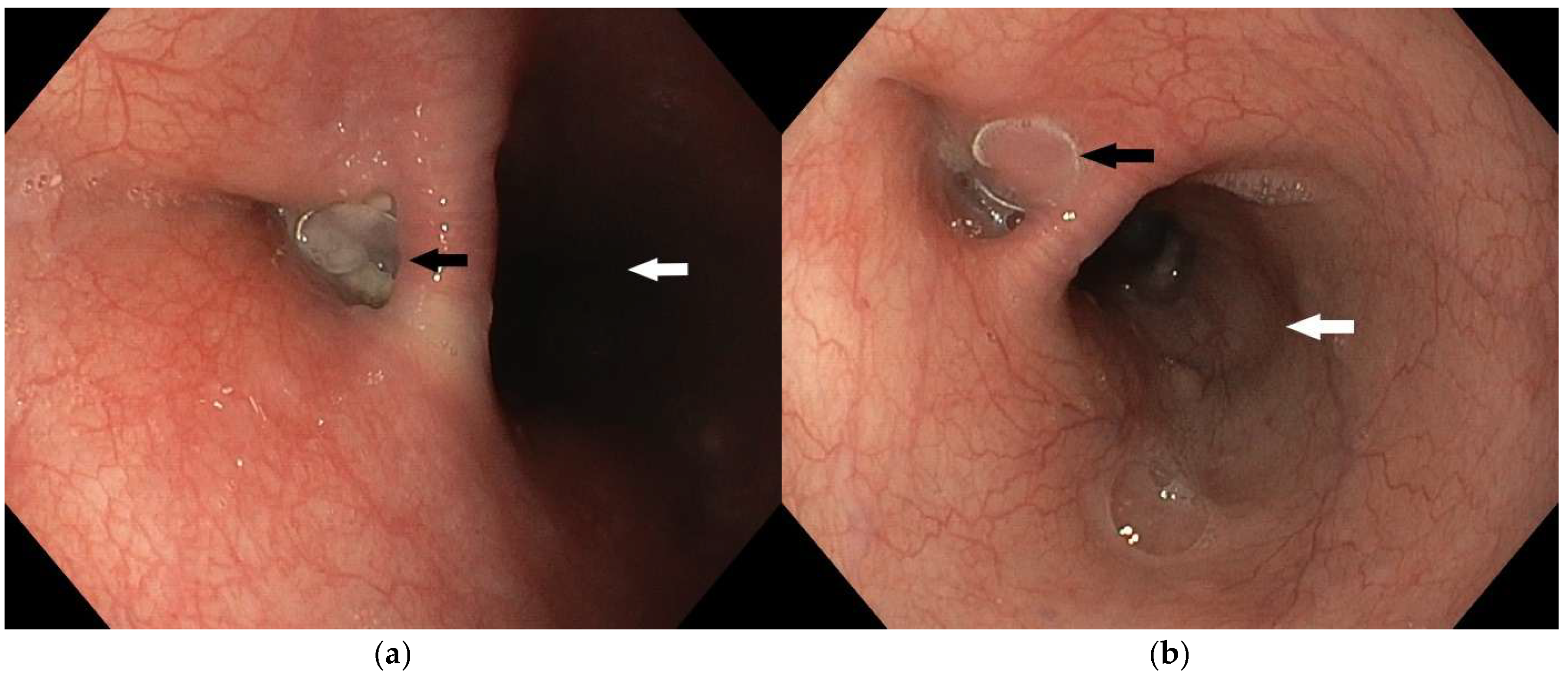 Diagnostics 15 02529 g007