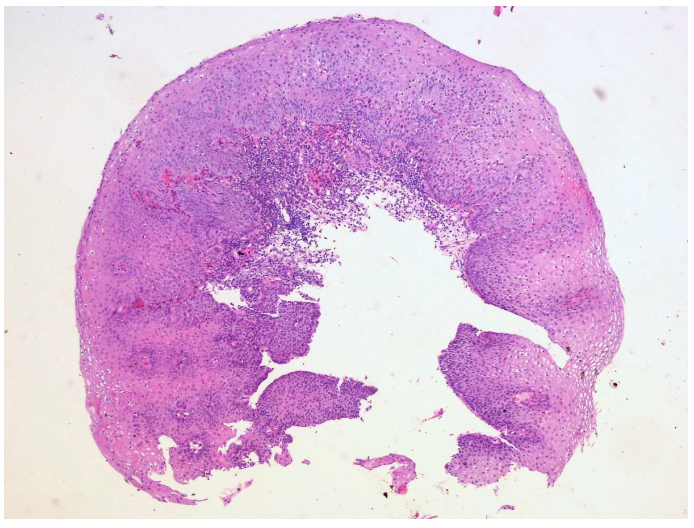 Diagnostics 15 02529 g009