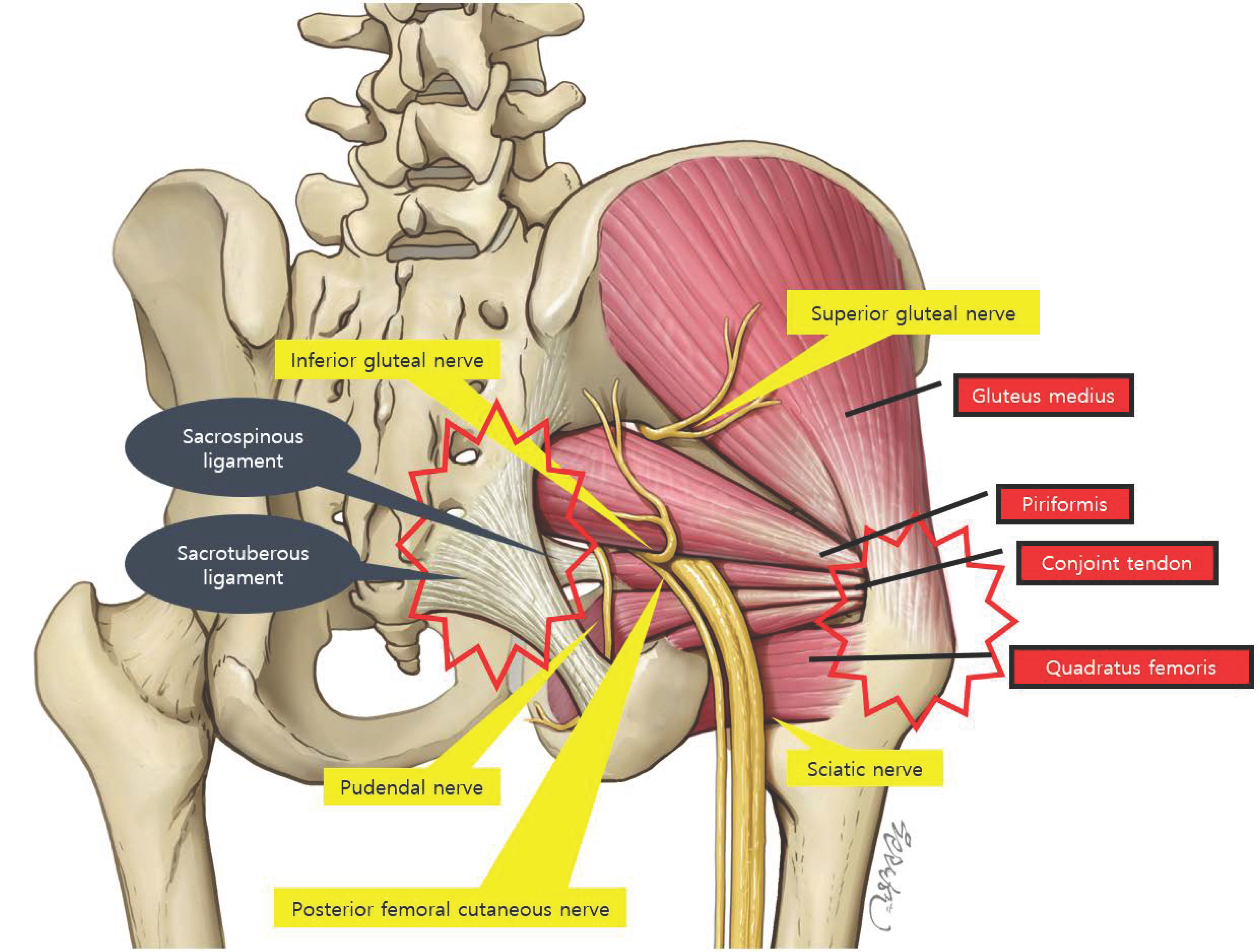 Diagnostics 15 02531 g002