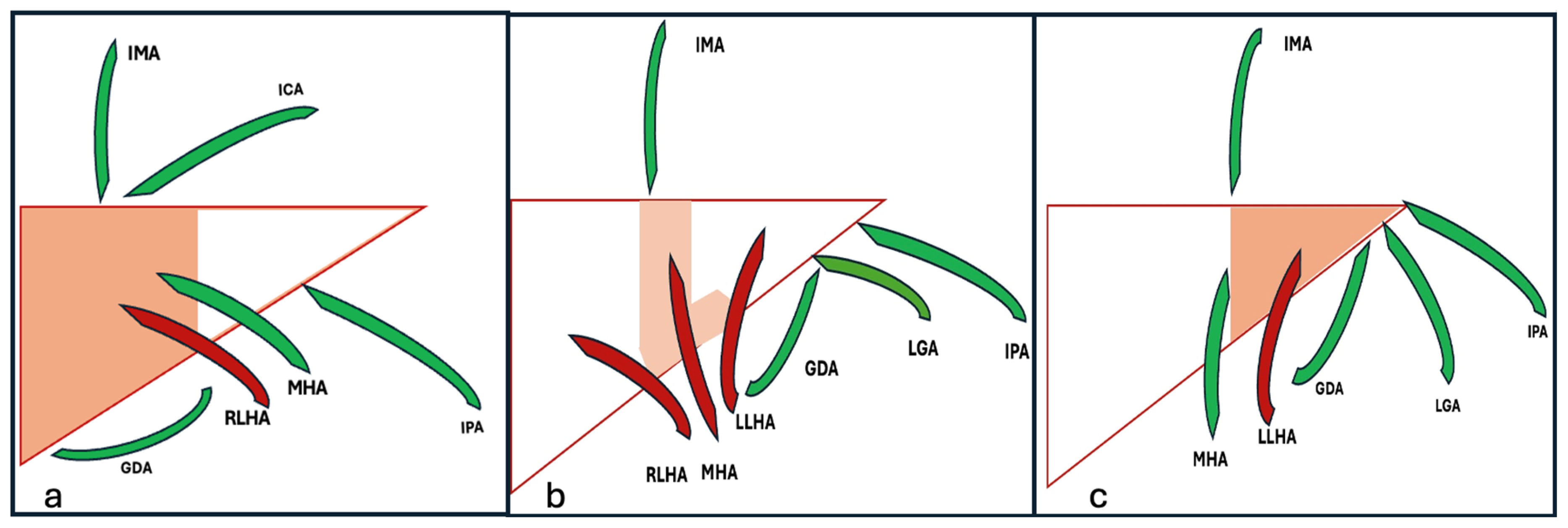 Diagnostics 15 02533 g004 Diagnostics 15 02533 g004