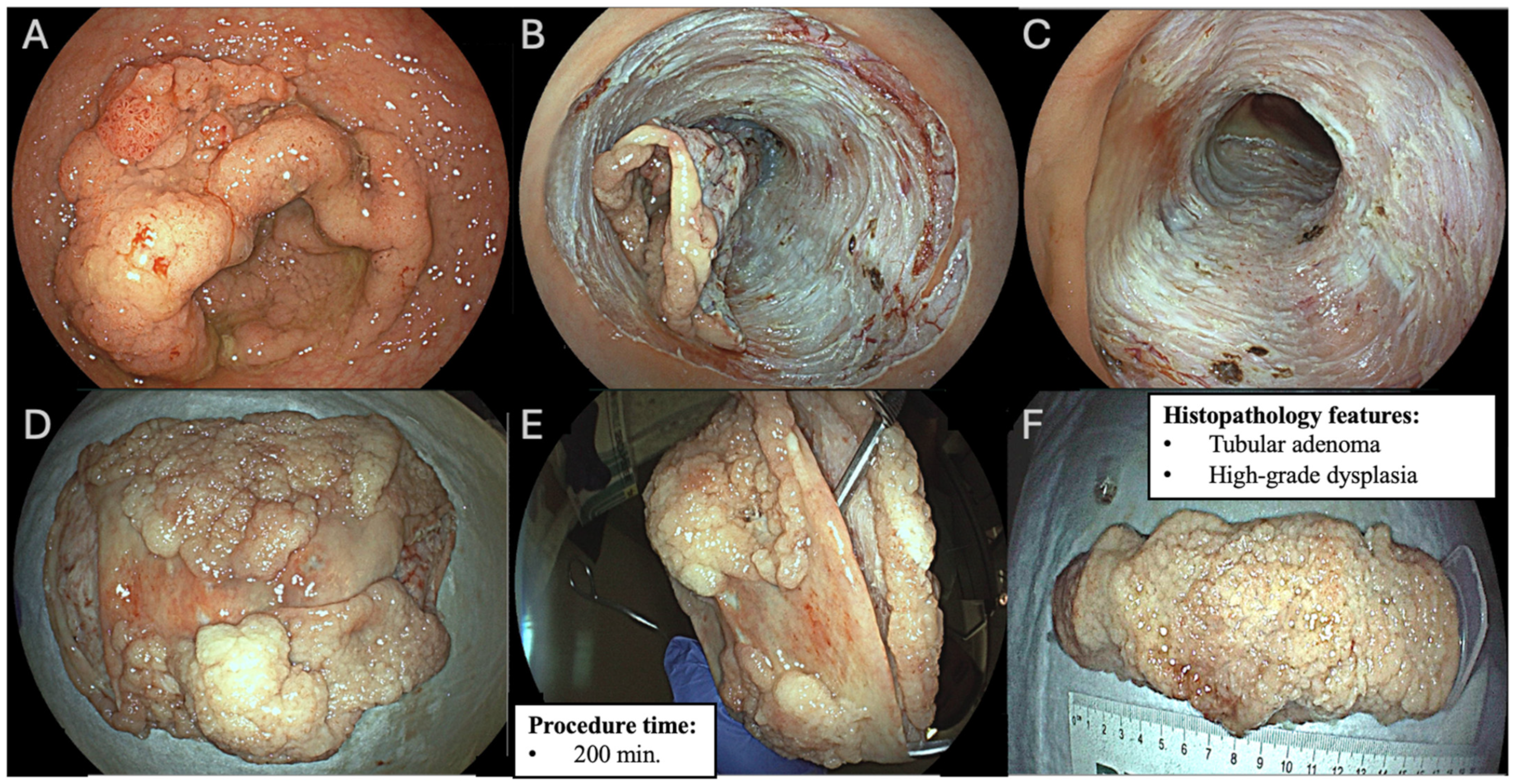 Diagnostics 15 02534 g001 Diagnostics 15 02534 g001